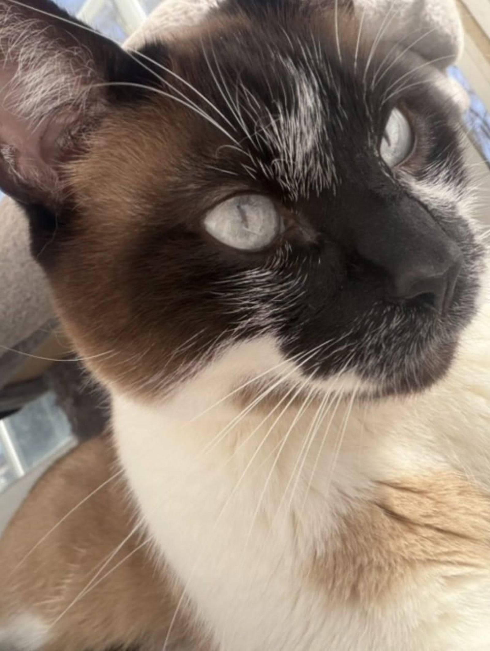 Nikky