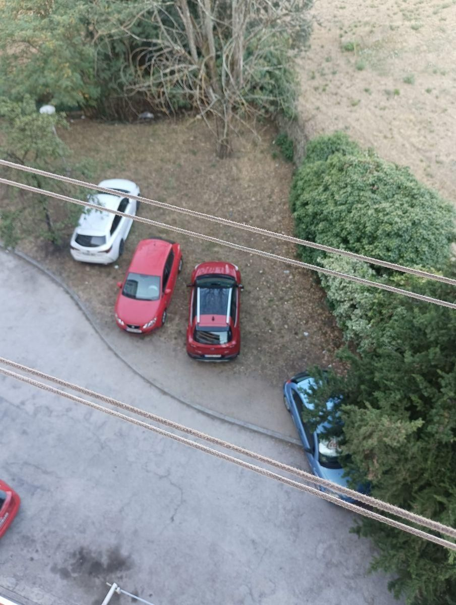 Un jardín que de lo abandonado que está, lo utilizan como aparcamiento.