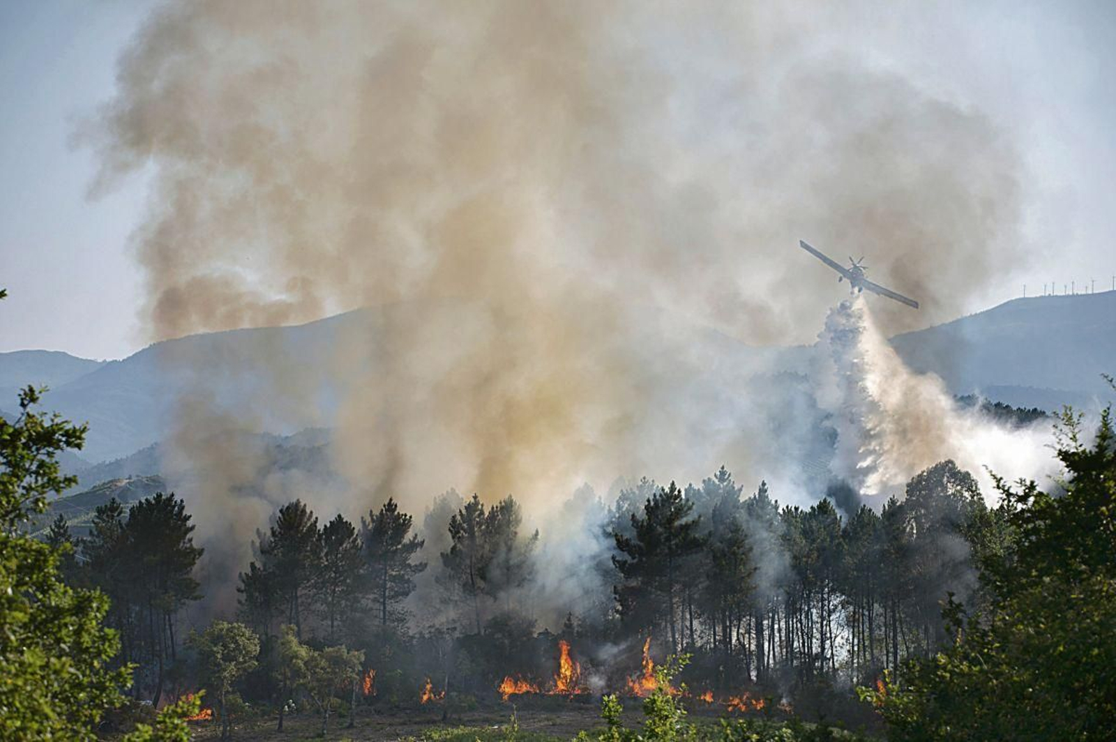 Incendio en Cenlle, el pasado lunes.