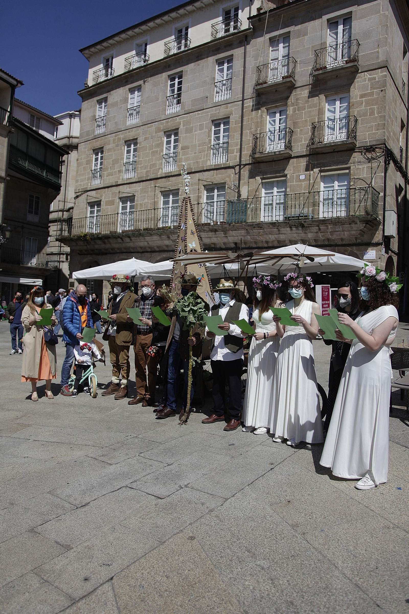 Celebración Maios en Ourense