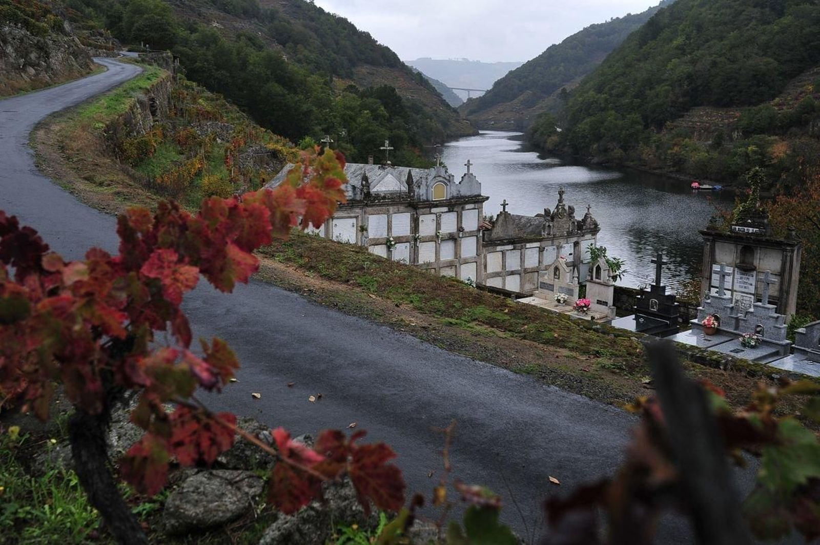 BELESAR (CHANTADA) 28/10/2019.- Escenarios para morirse en la Ribeira Sacra; al fondo el Miño.. José Paz