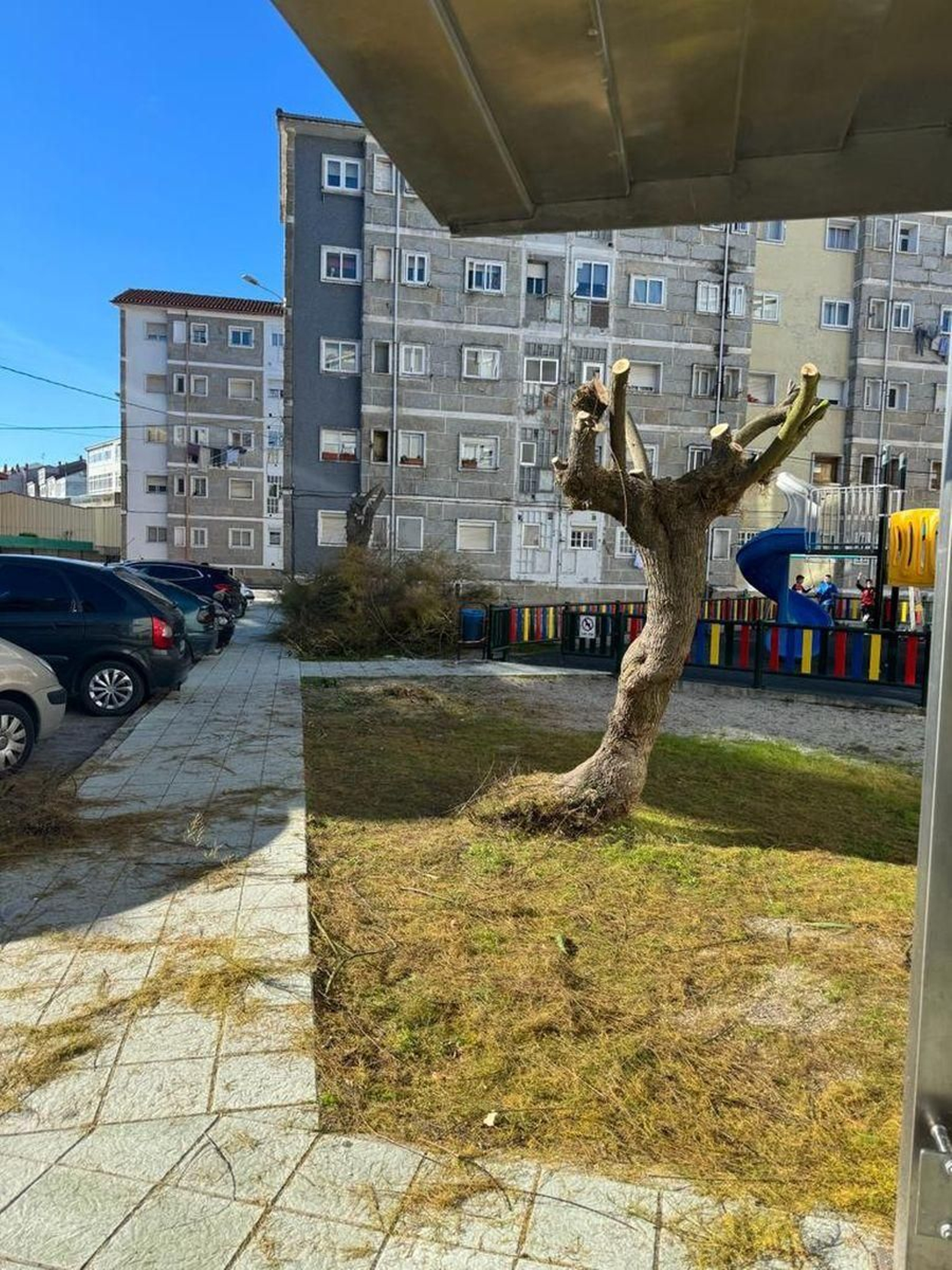 Tala de árboles en el parque infantil del grupo San Sebastián