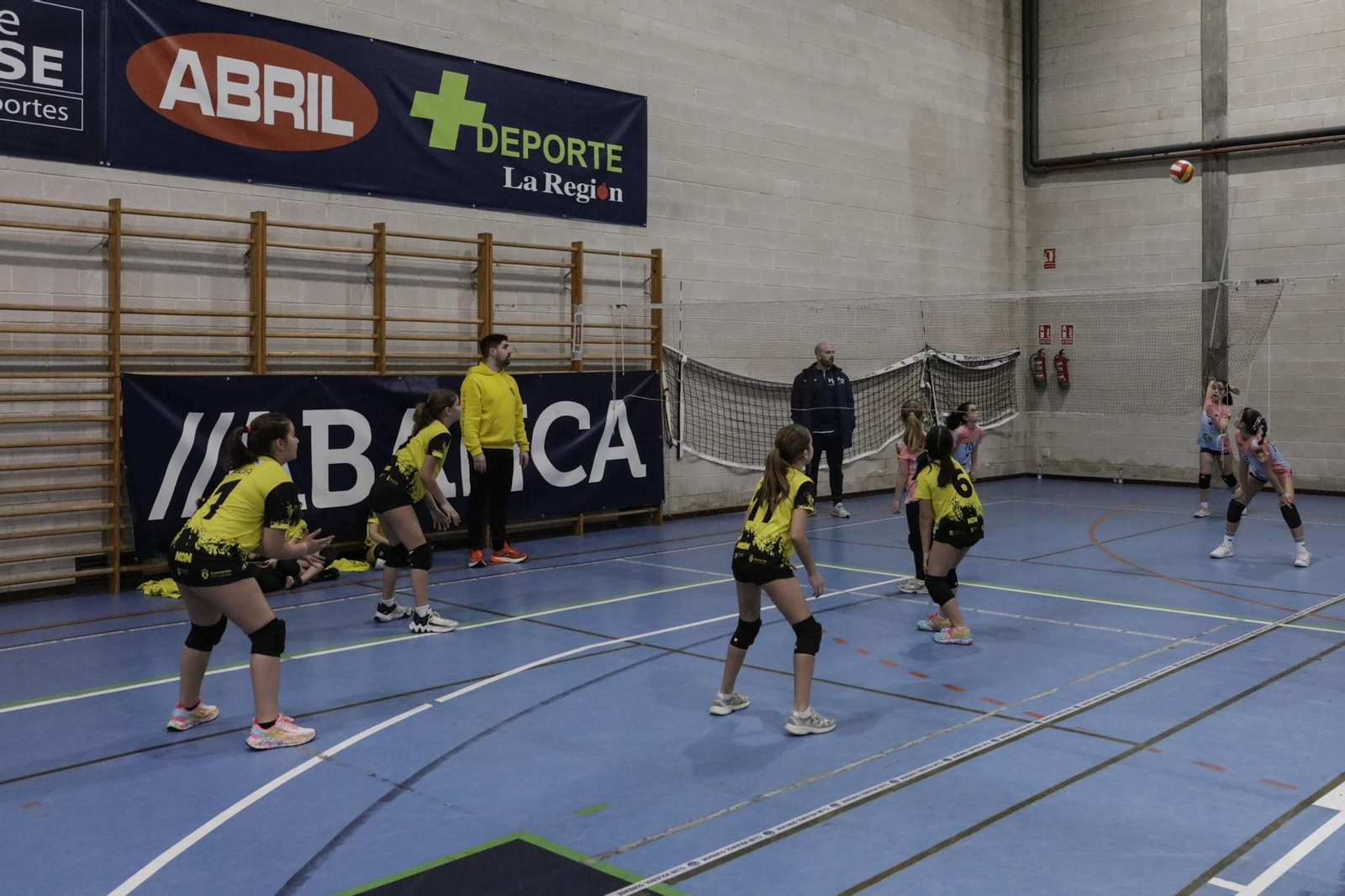 Galería | Voleibol, en fotos