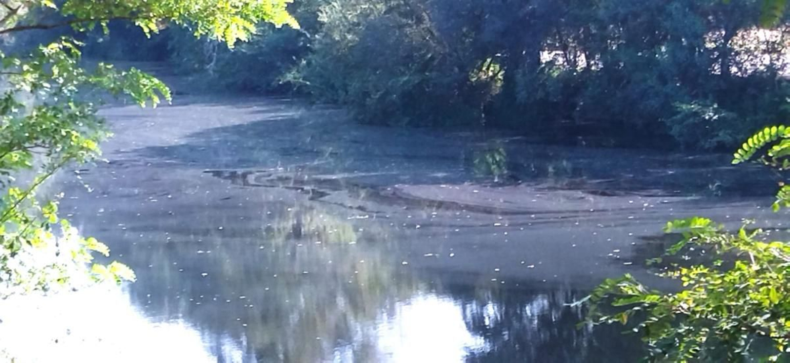 Con esta enorme mancha contamiante, amaneció ayer el río Tea a su paso por A Freixa.
