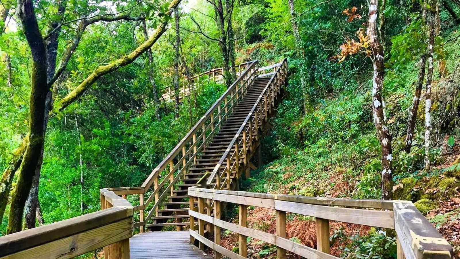 Una de las pasarelas del río Mao en la zona natural.