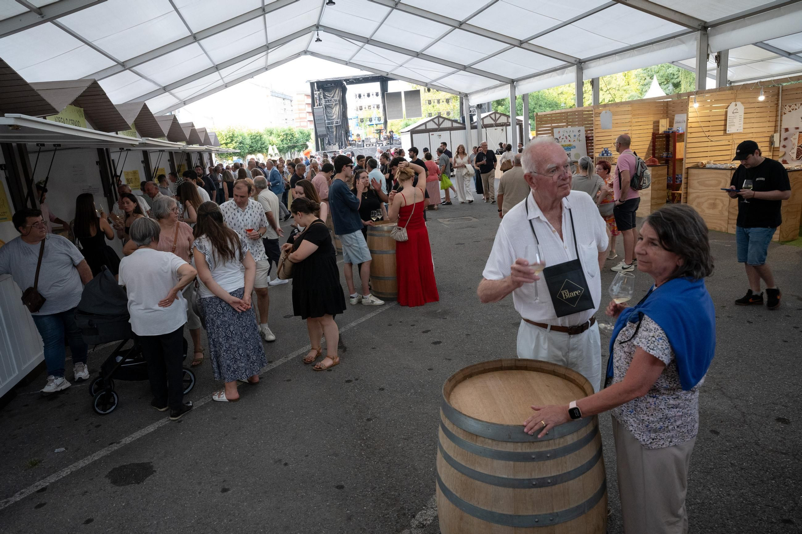 Galería | Valdeorras disfruta con la XXVII Festa do Viño