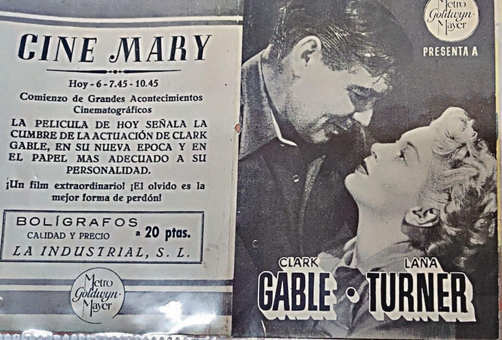 Nueva carpeta/11402167