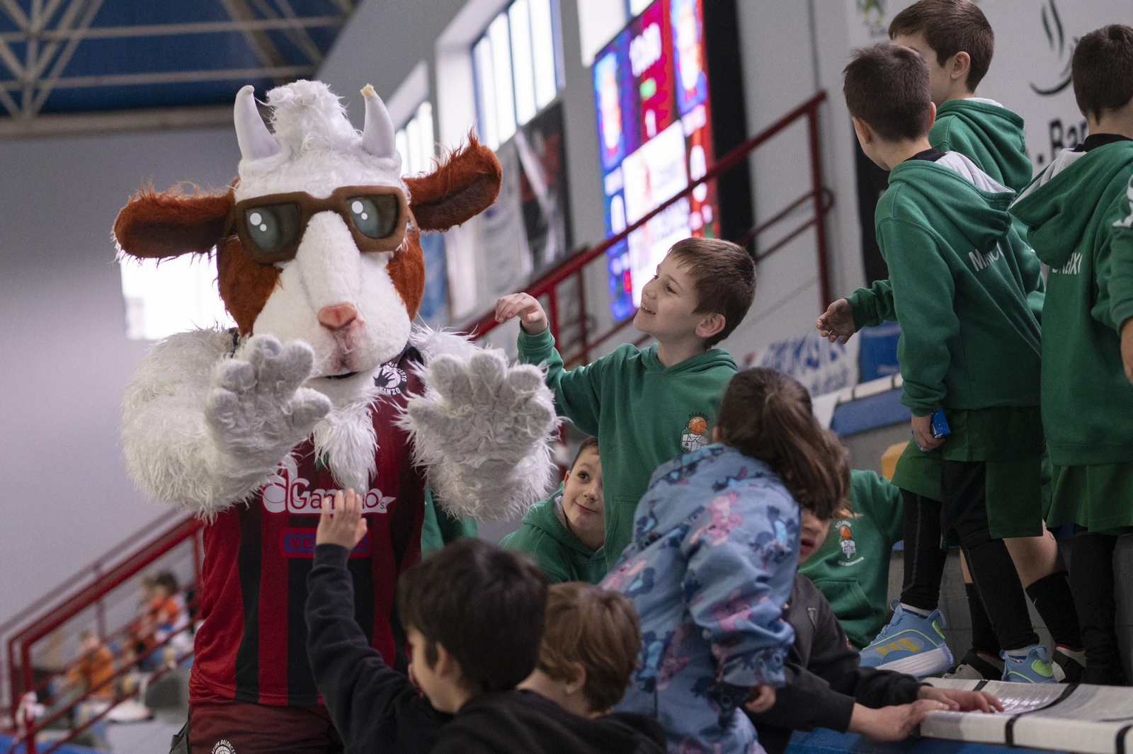 Galería | El babybasket vuelve a Ourense con su primera concentración  de la temporada