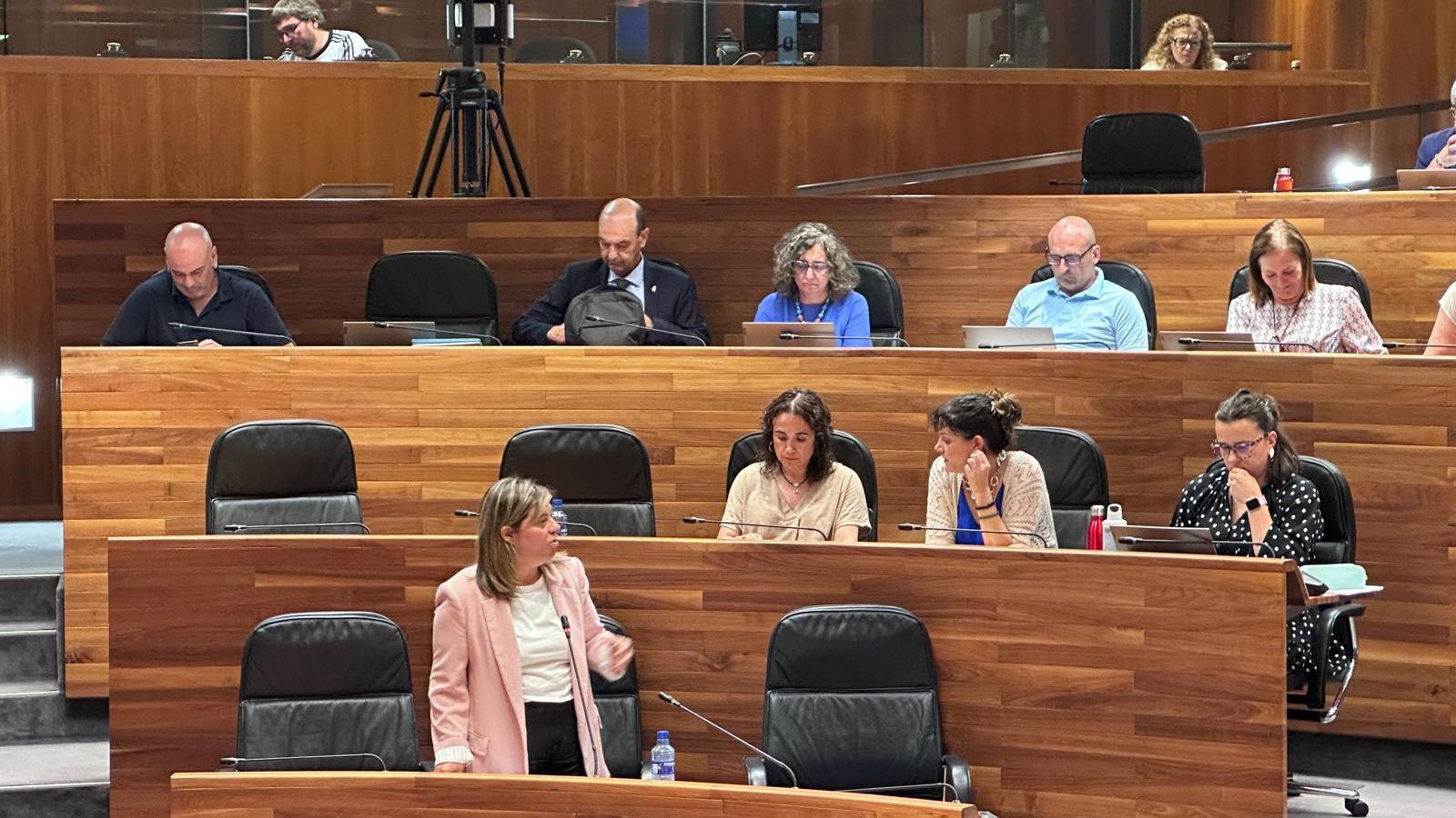 Gimena Llamedo durante una intervención en el Parlamento