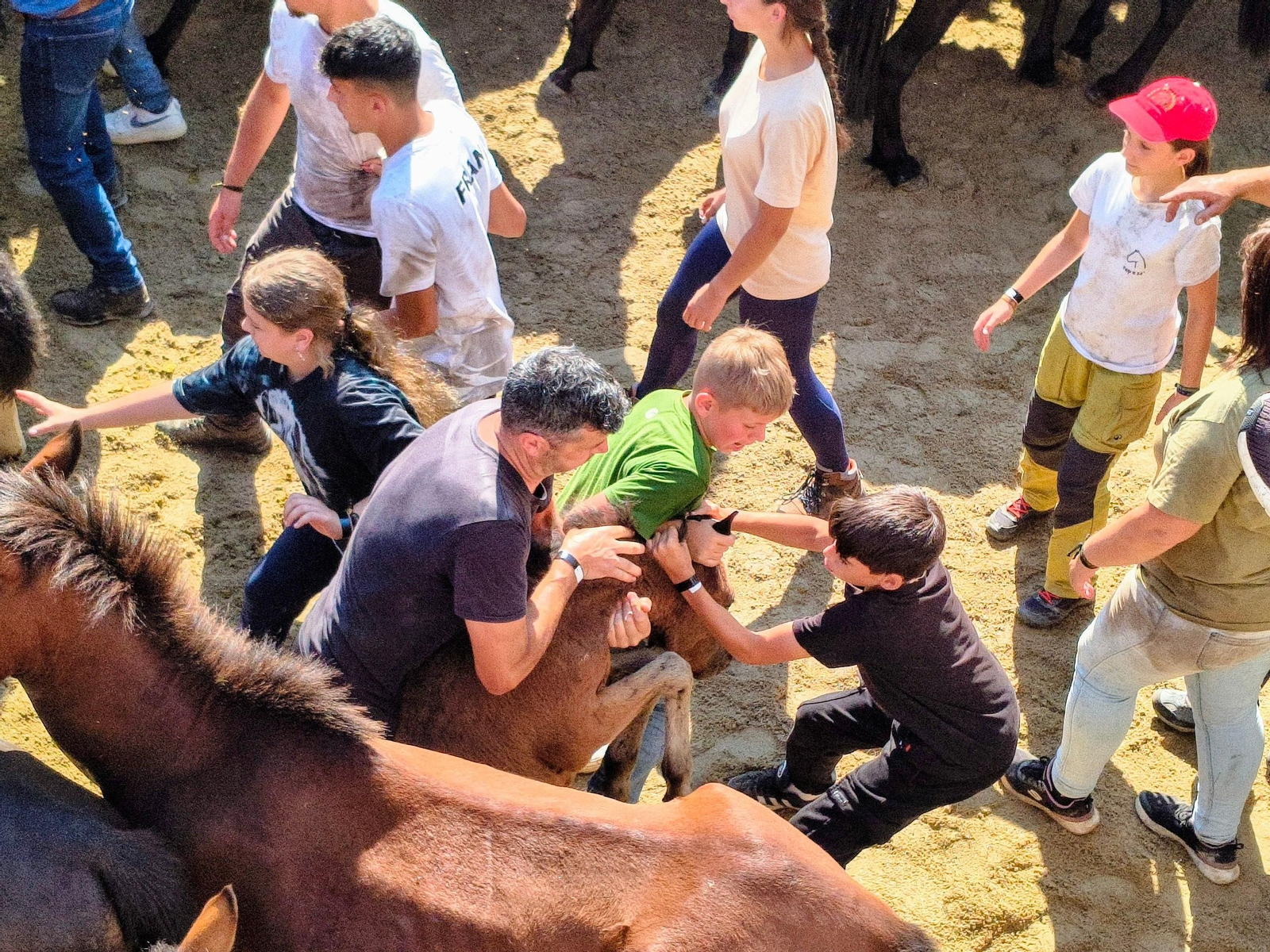 Galería | La Rapa das Bestas desafía al calor en Sabucedo