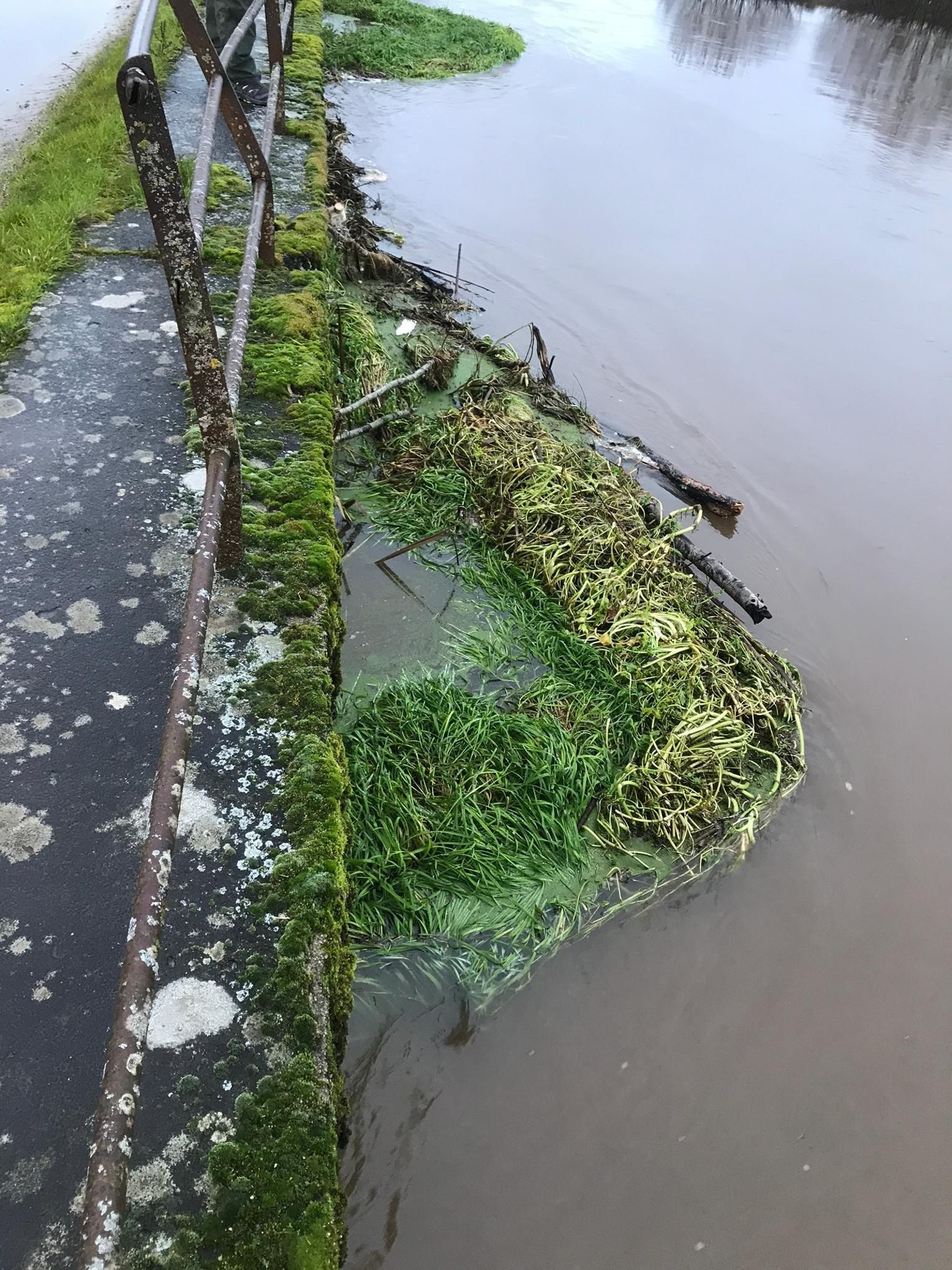 Daños de Fabien en Ourense