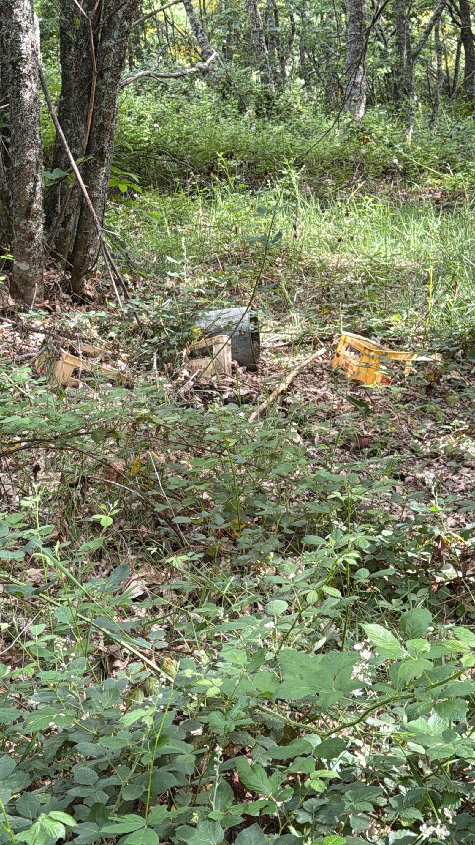 Galería | Os cazadores de Caldelas dispararon contra o lixo