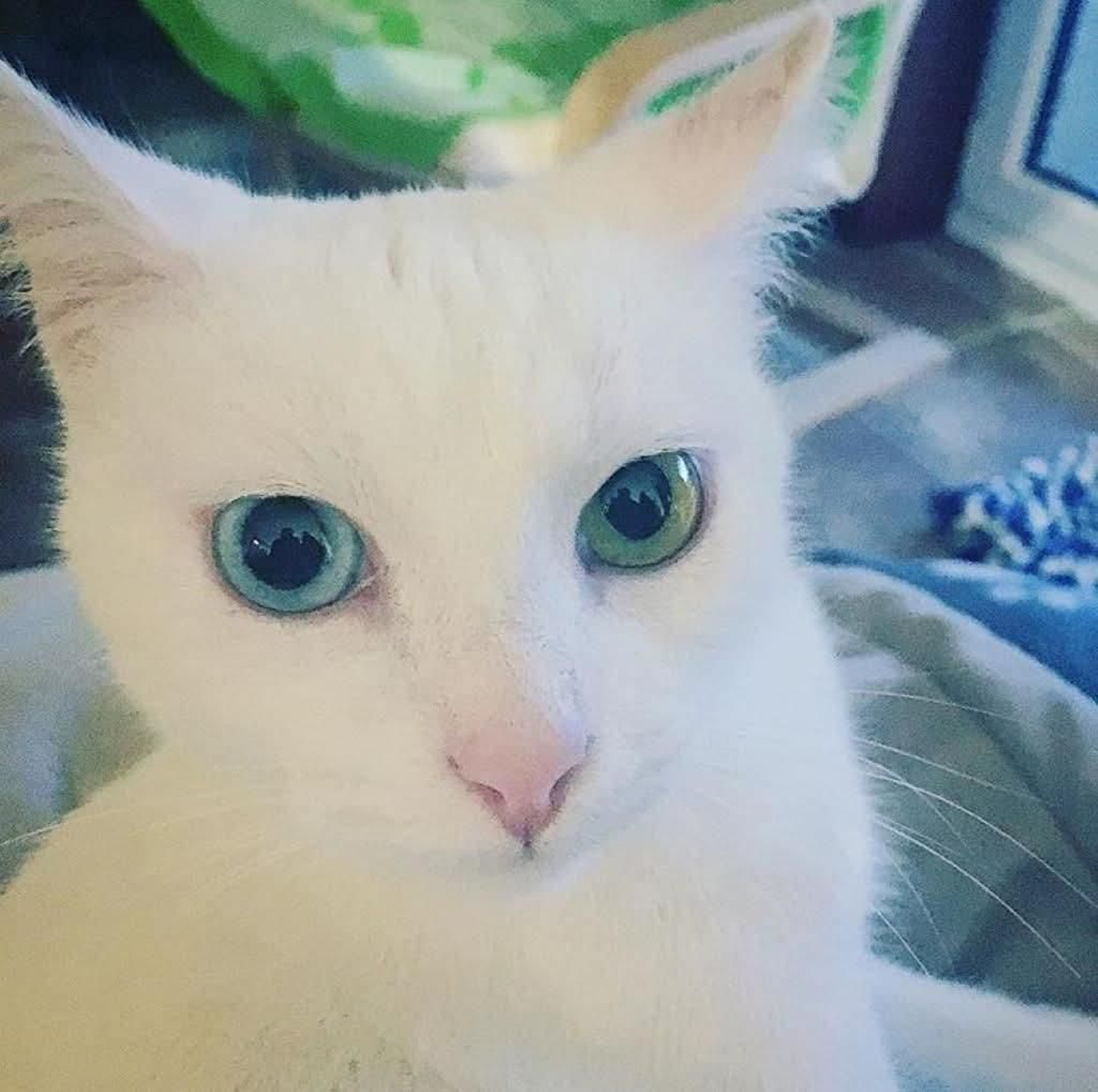 Kami