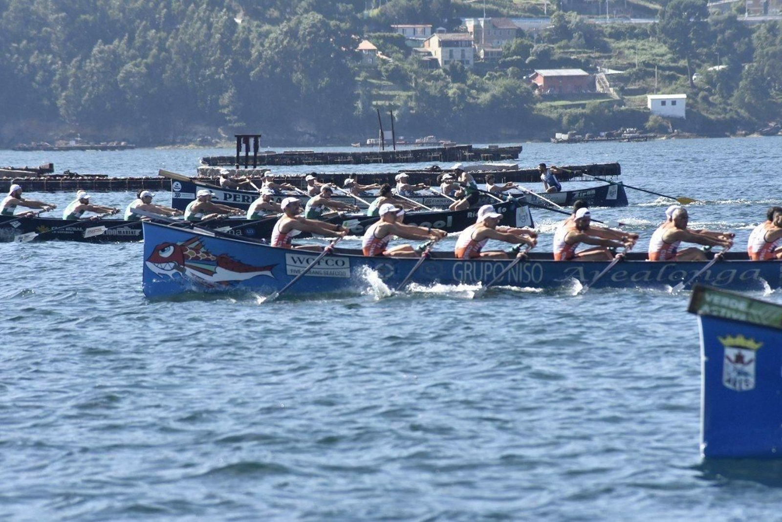 Traiñeiras en Redondela.