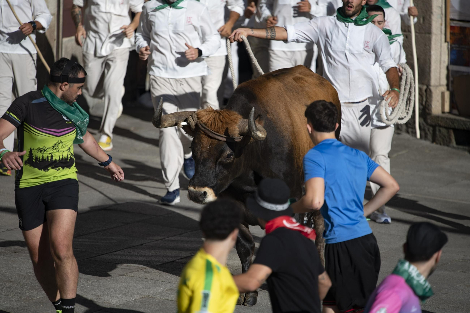 Galería | Allariz desfruta a Festa do Boi con paixón e fervor ata o último suspiro