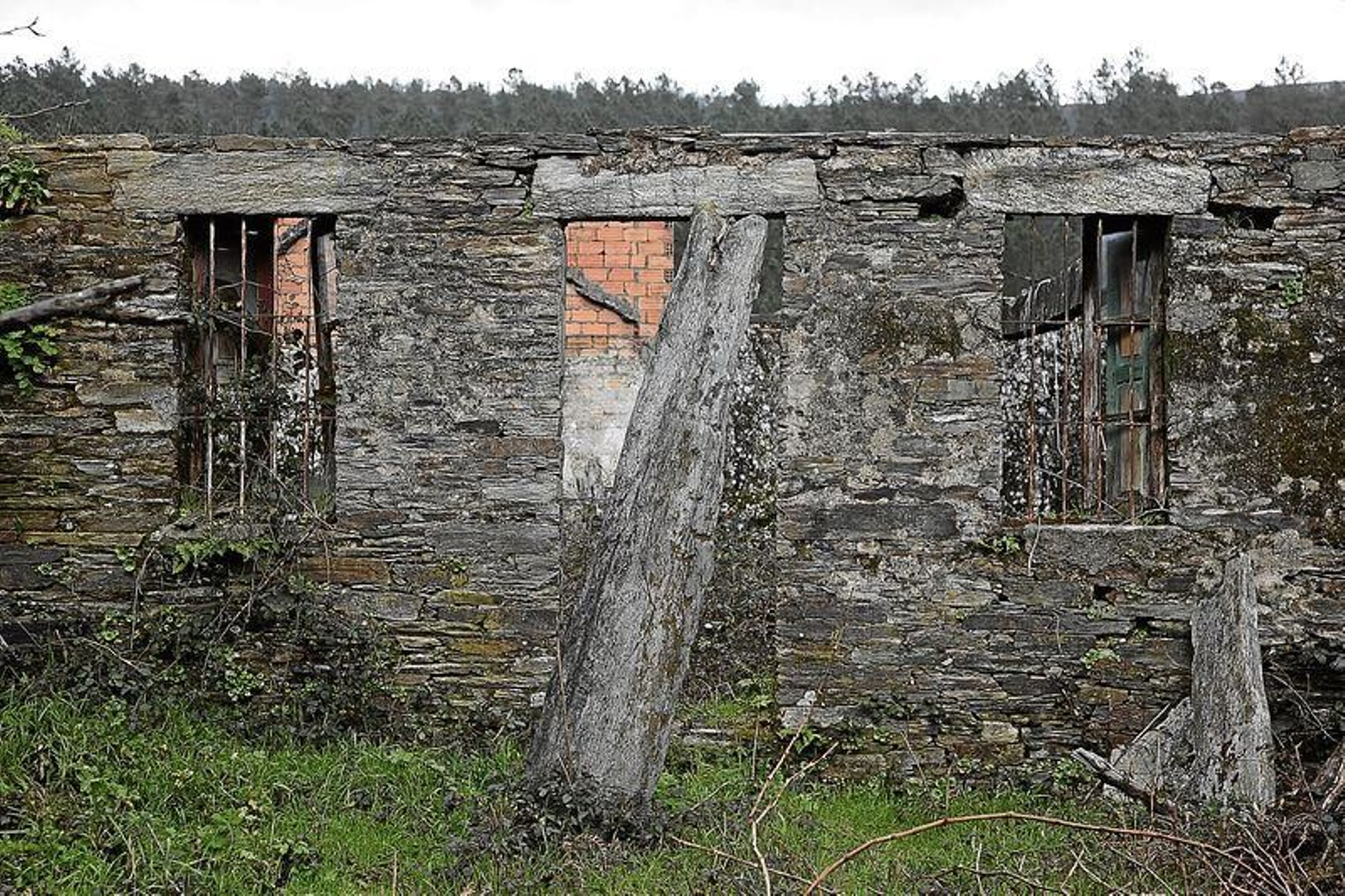 Casa en ruinas en la localidad de Gabian, en San Cristovo de Cea. (FOTO: MIGUEL ÁNGEL)