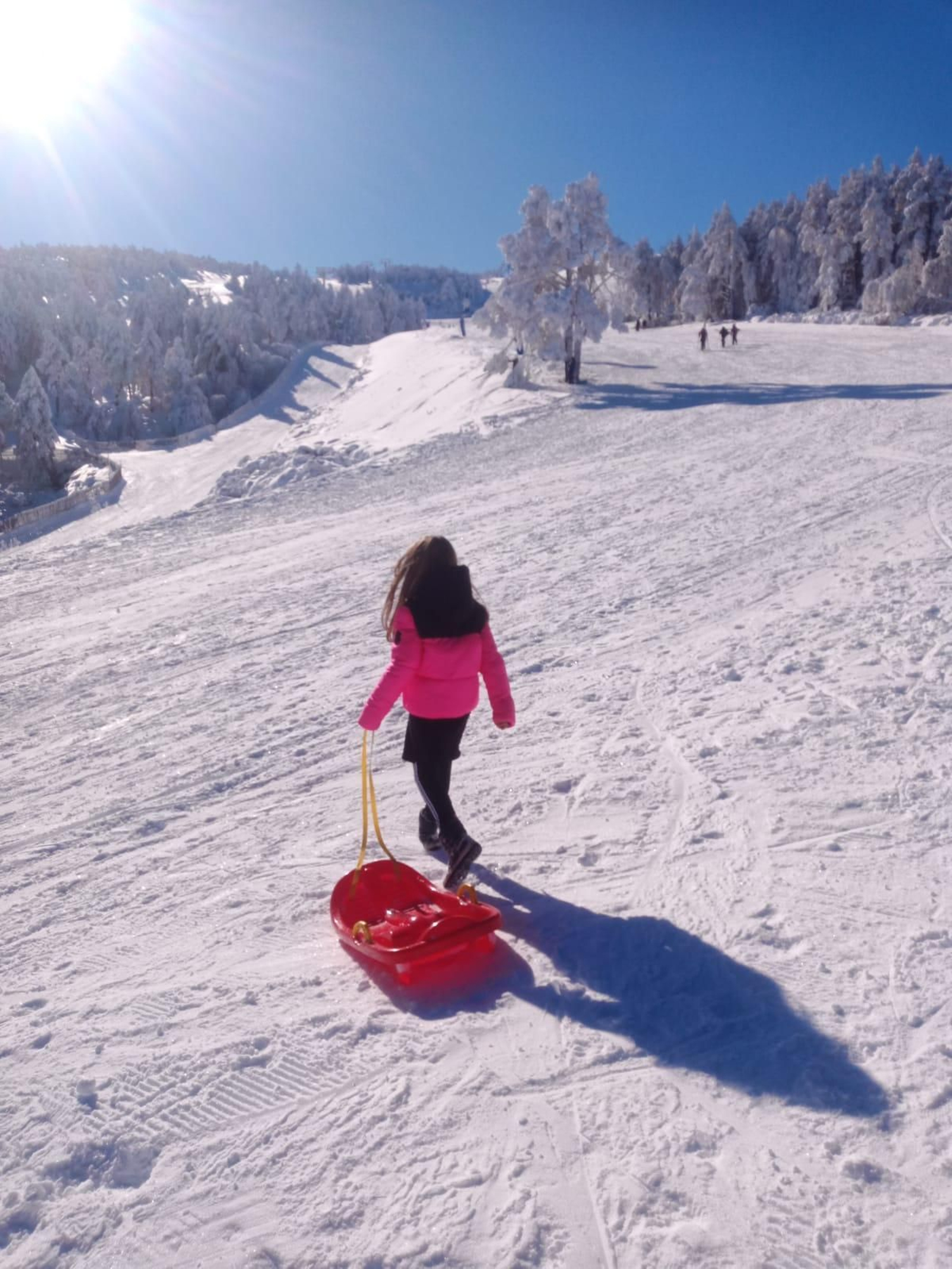Manzaneda hoy, nevada.