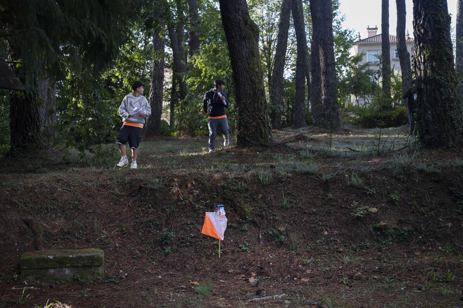 El Programa Xogade avanza a toda velocidad en Ourense