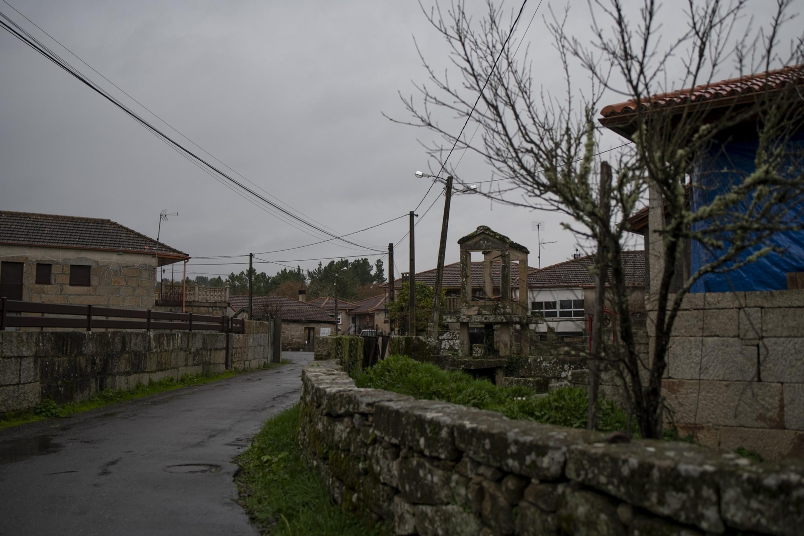 O Pereiro, en Palmés