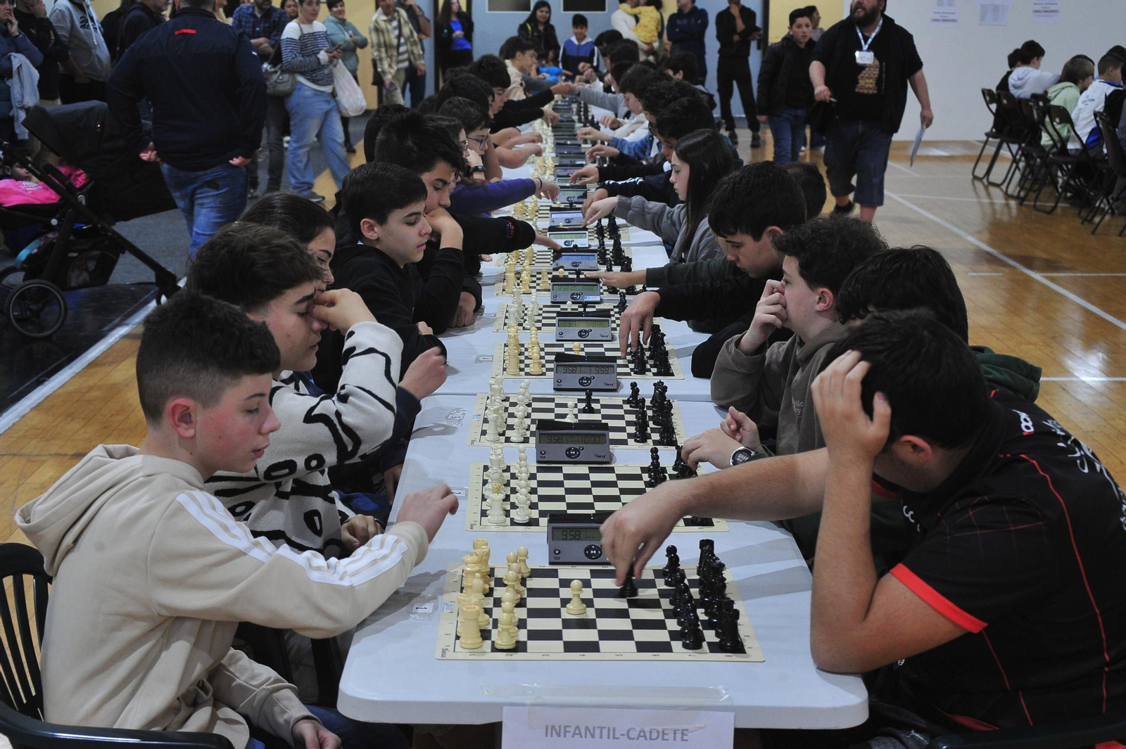Galería | La final provincial escolar de ajedrez llena el Pazo, en imágenes
