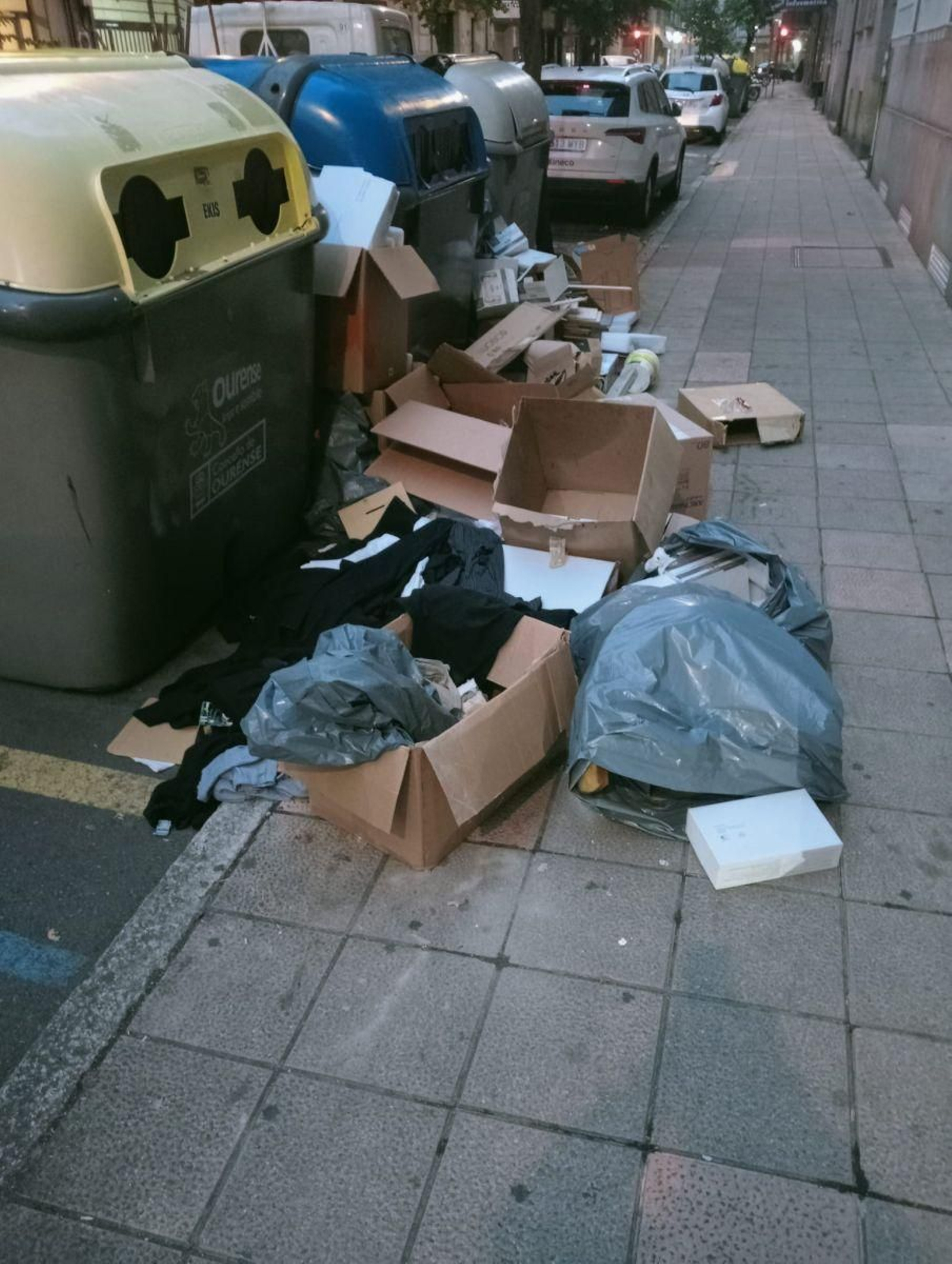 Basura por el suelo a los pies de los contenedores en la calle Cardenal Quevedo.