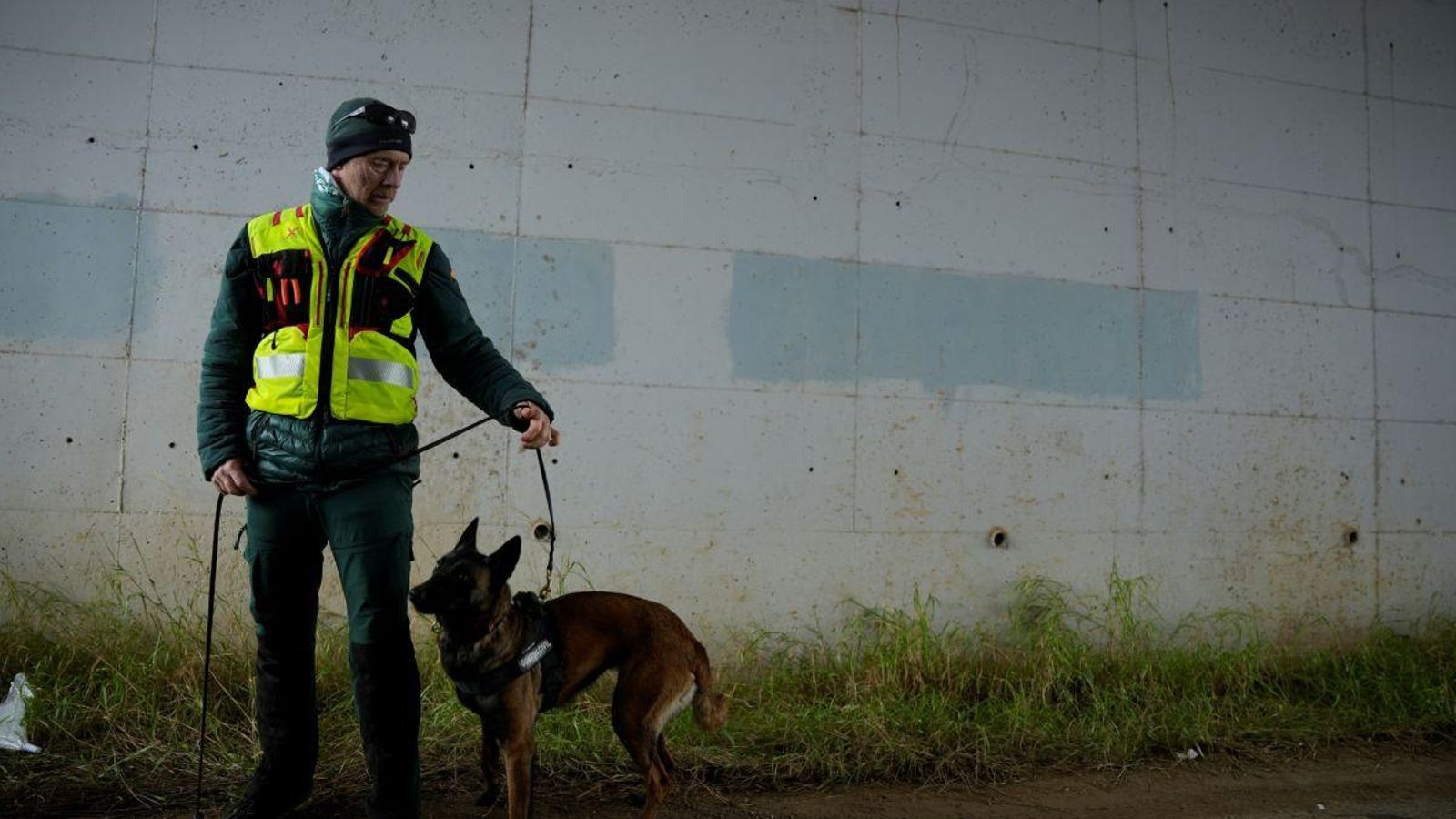Uno de los cuatro perros que trabajan en el rescate.