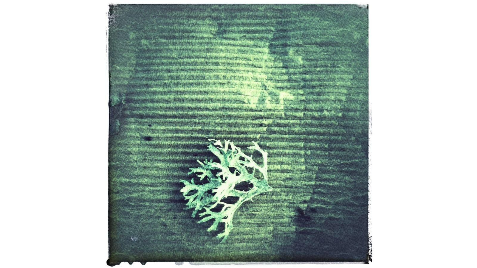 Opinión en La Región.