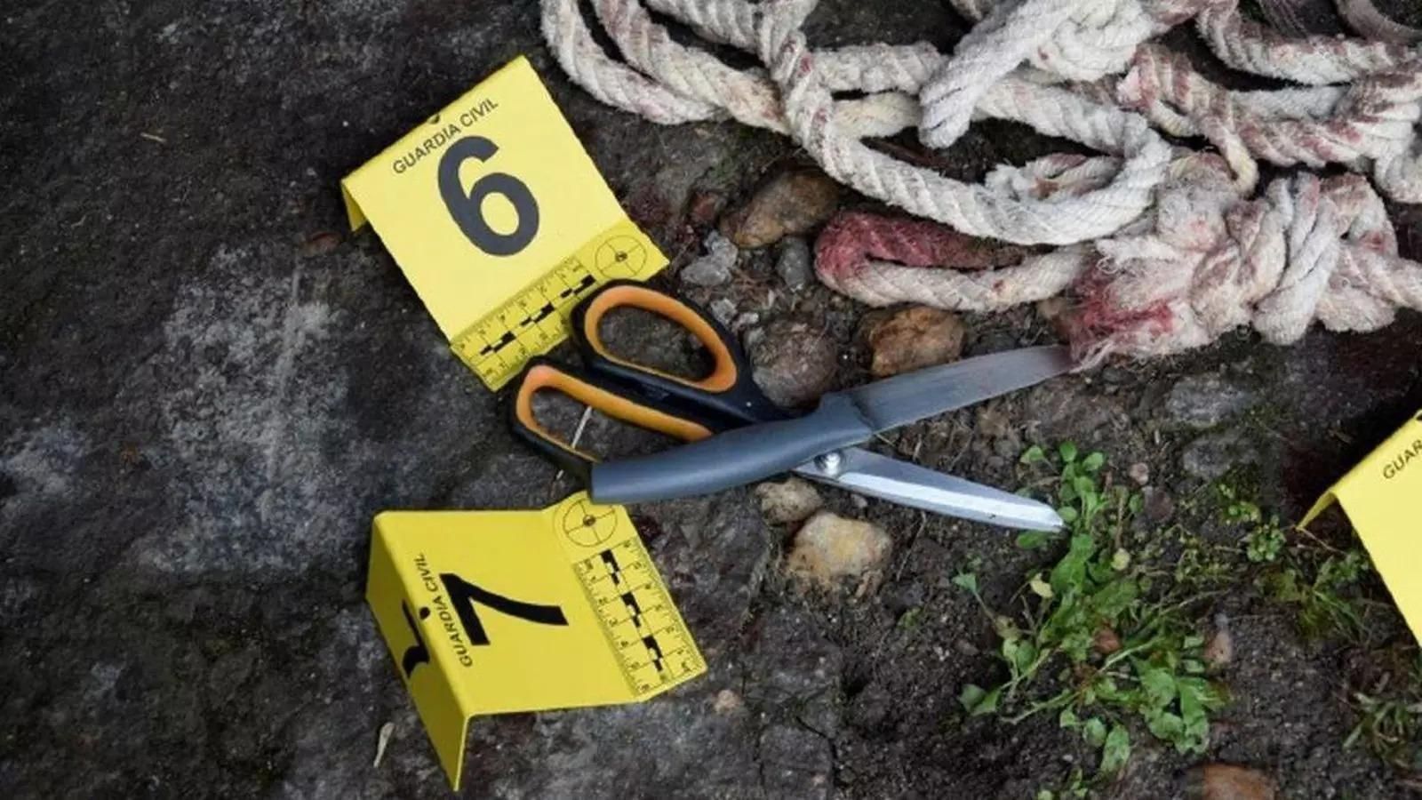 Dos cuerdas de 4 metros de longitud usadas para atar a la víctima