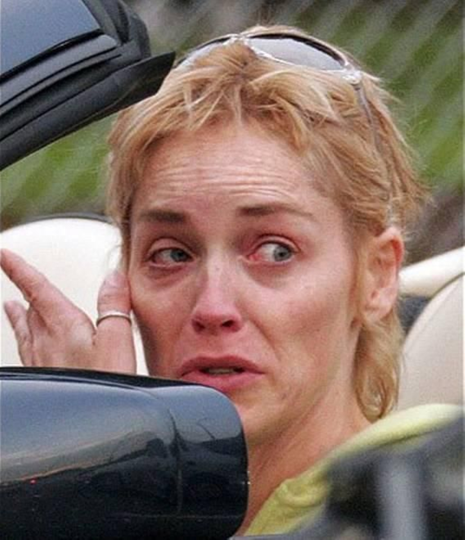 Sharon Stone sin maquillaje