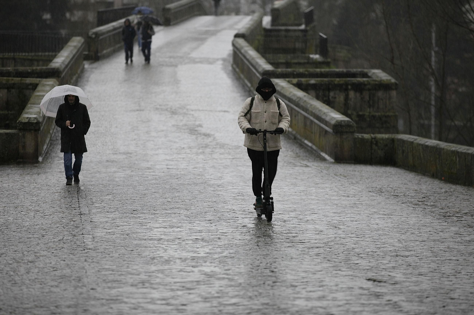 Galería | La crecida de los ríos anegan la provincia de Ourense
