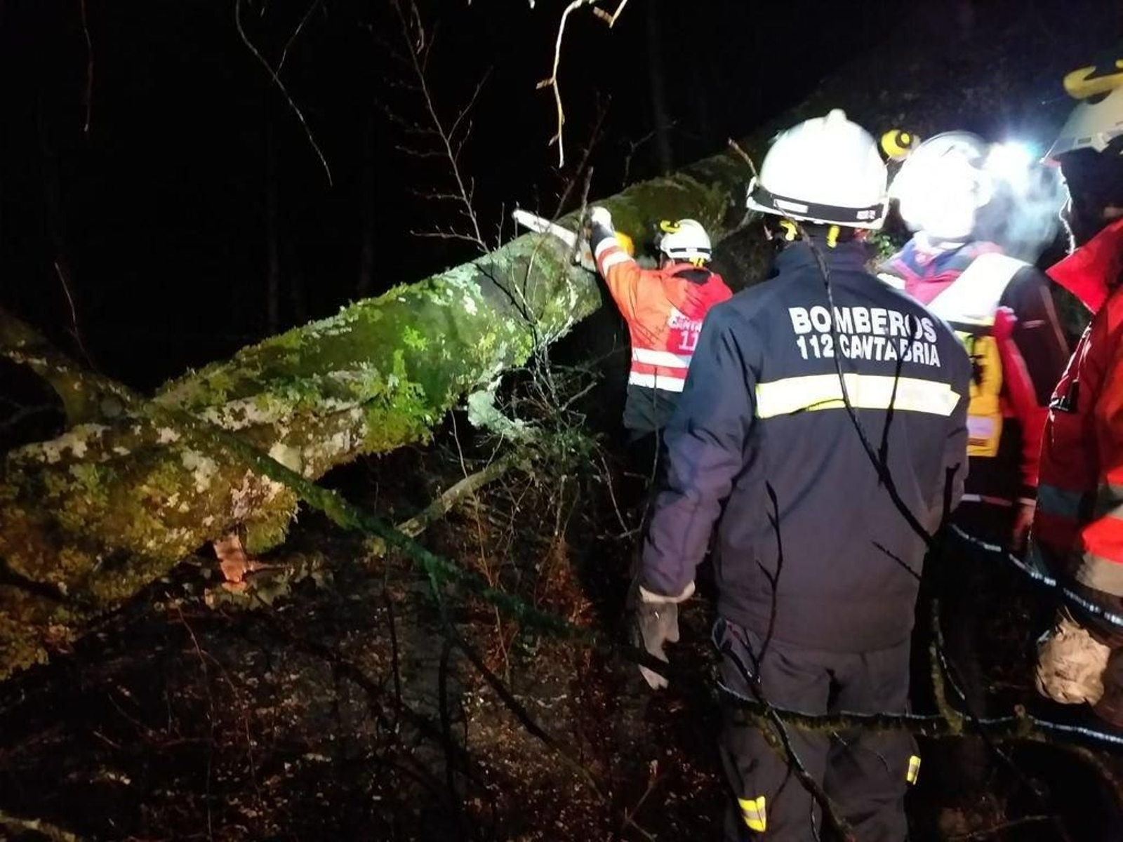 Arriba, las labores de retirada de árboles  para abrir el camino.