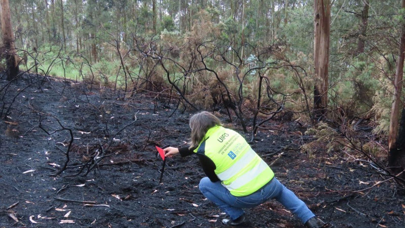 Una agente ambiental marca el inicio de un fuego.
