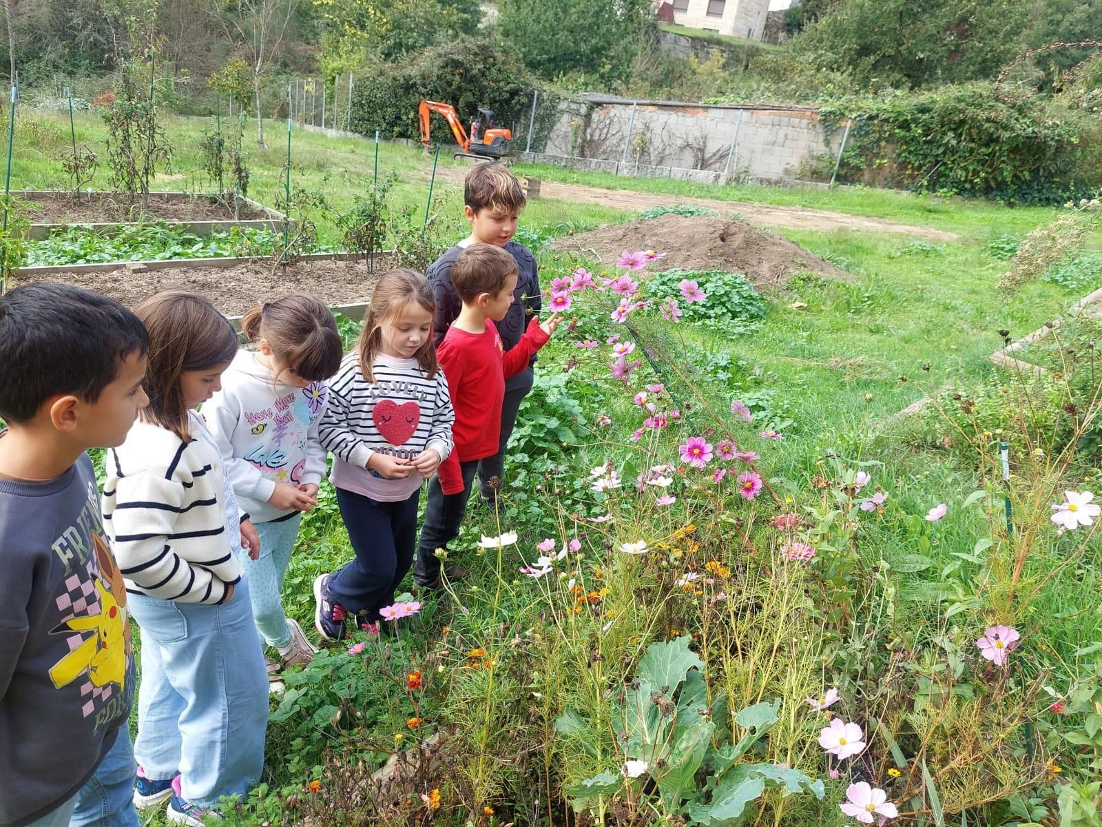 A natureza como mestra no Ruxidoiro