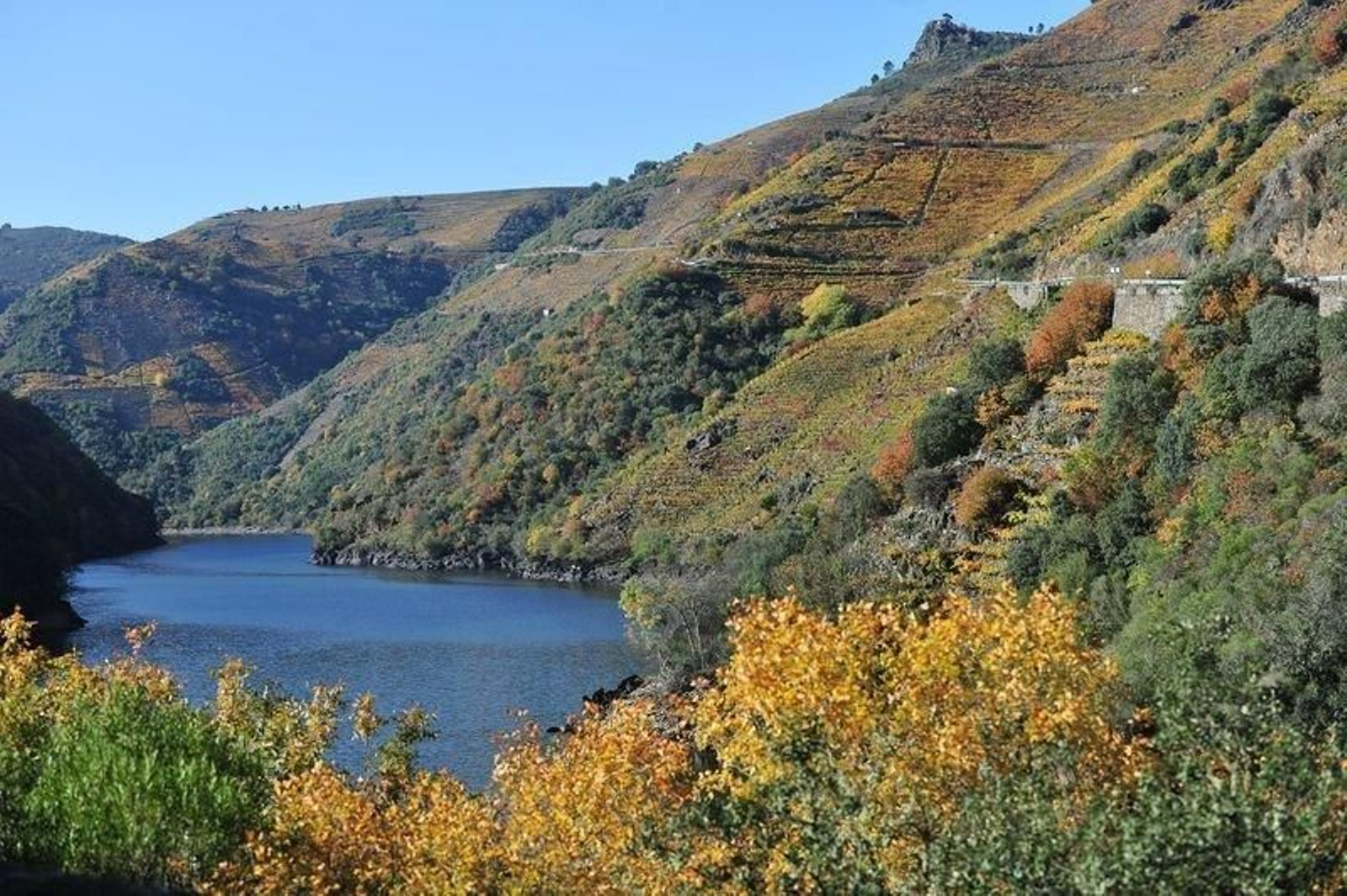 Ribeira Sacra 5
