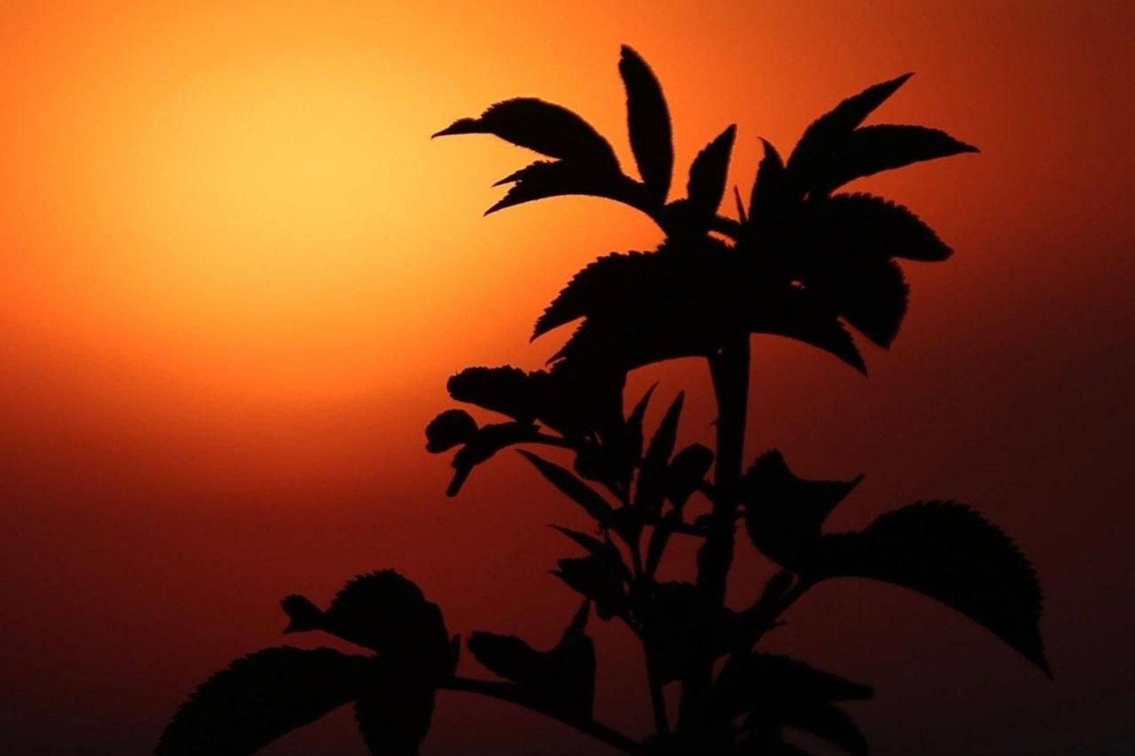 Galería | Los días más largos en Vigo regalan espectaculares puestas de sol