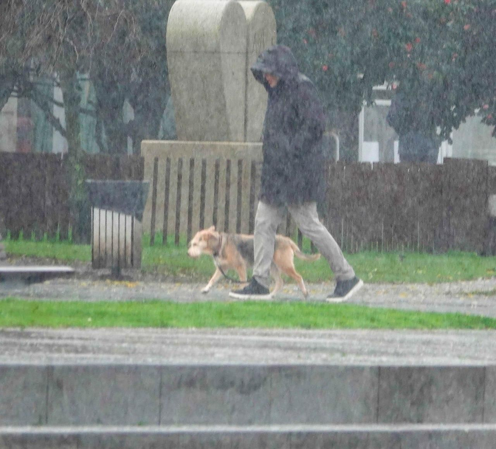 Lluvia intensa durante esta semana.