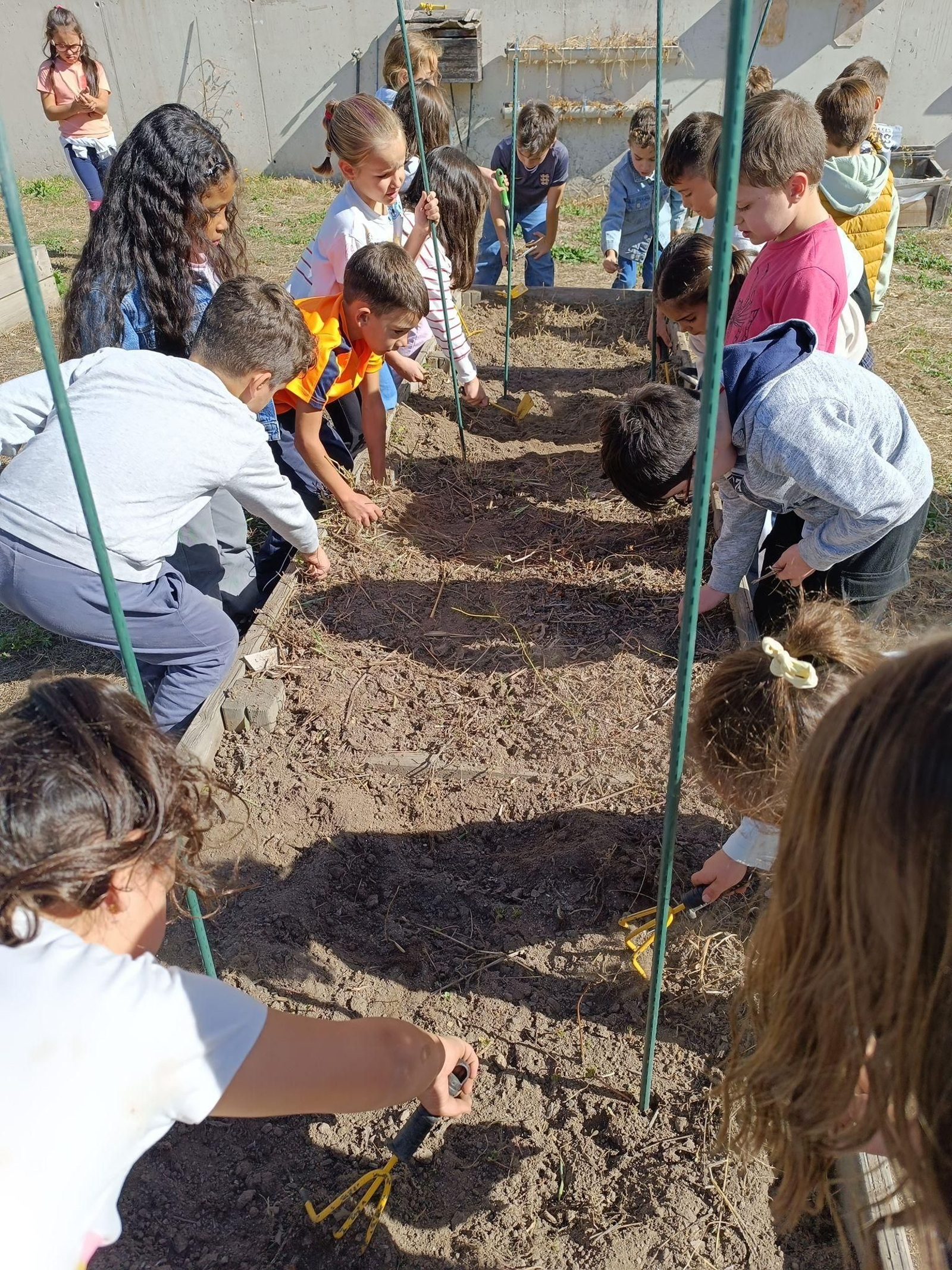 A natureza como mestra no Ruxidoiro