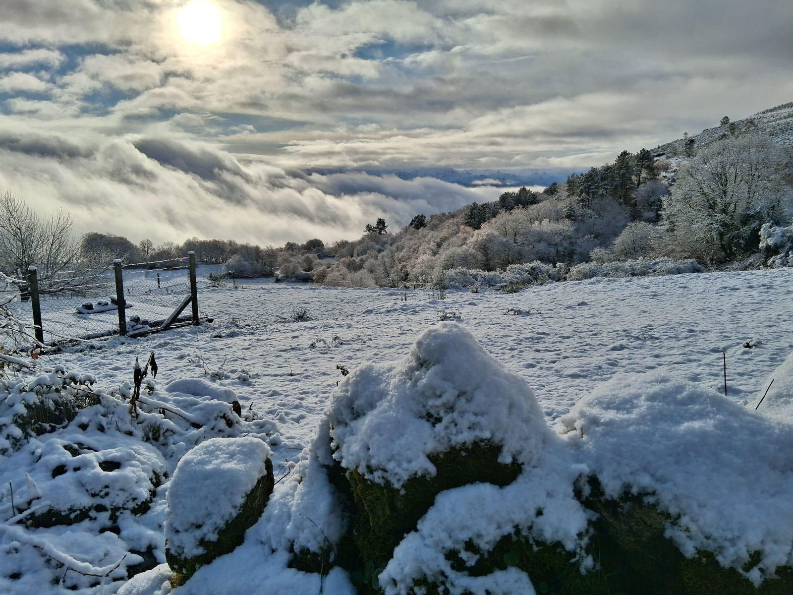 Baldemir, en Lobeira