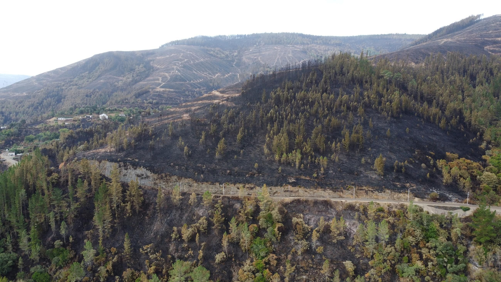 cast, cerca de quiroga.JPG