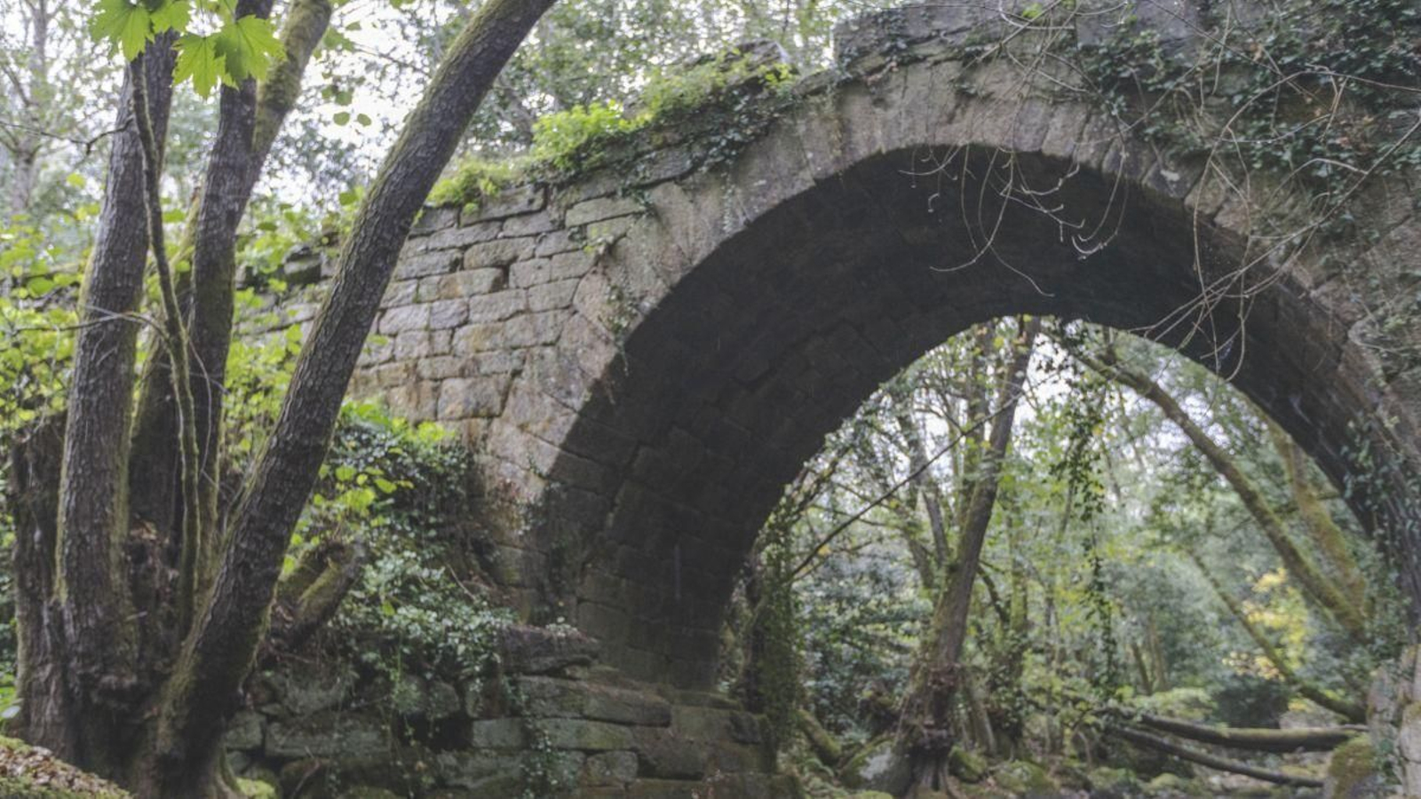 O ponte de Lumeares coa grieta que levou a pechar o paso ata a súa reparación.