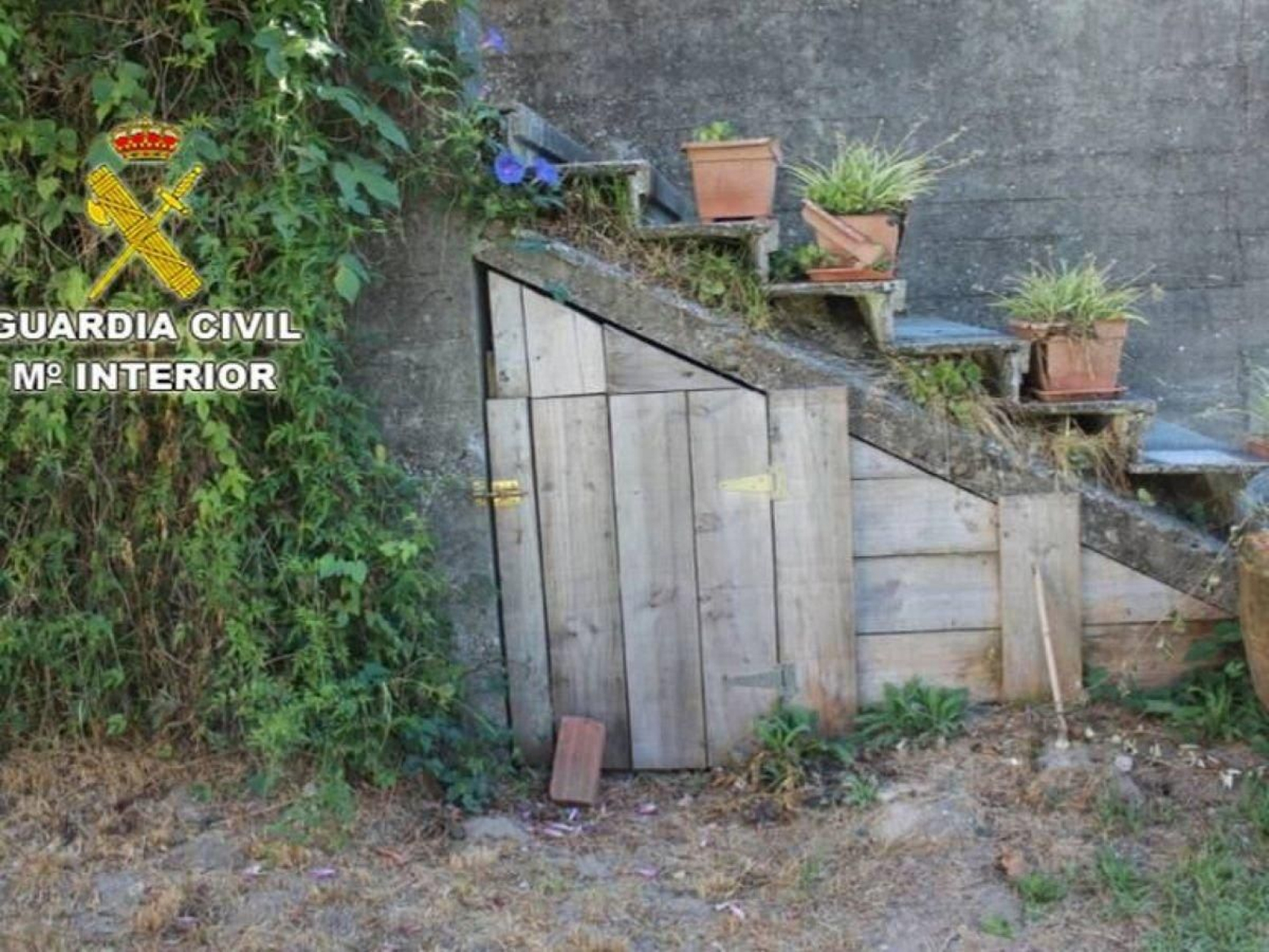 El habitáculo donde se hallaron los cadáveres de las ovejas y la cabra.