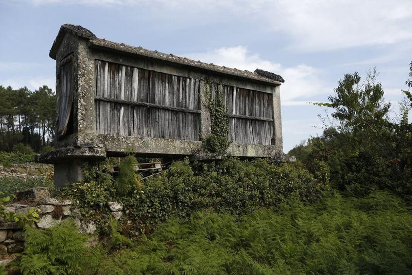 Un hórreo abandonado en la aldea de Santa Uxía de Lobás, en O Carballiño (XESÚS FARIÑAS).