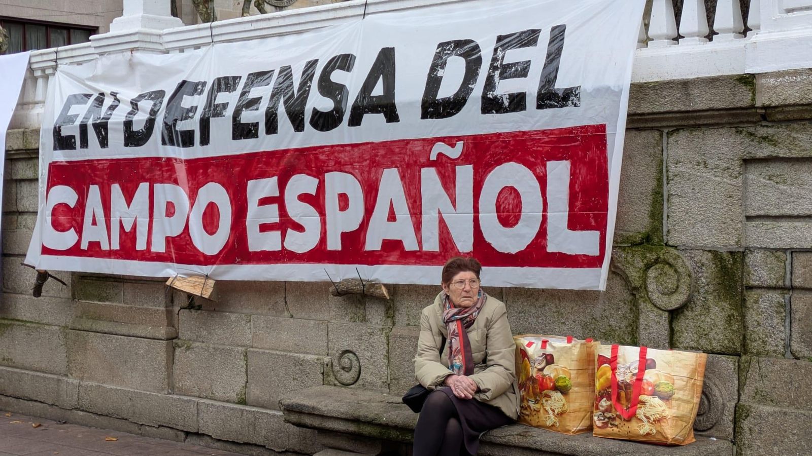 Una señora con la compra junto con la pancarta "En defensa del campo español"