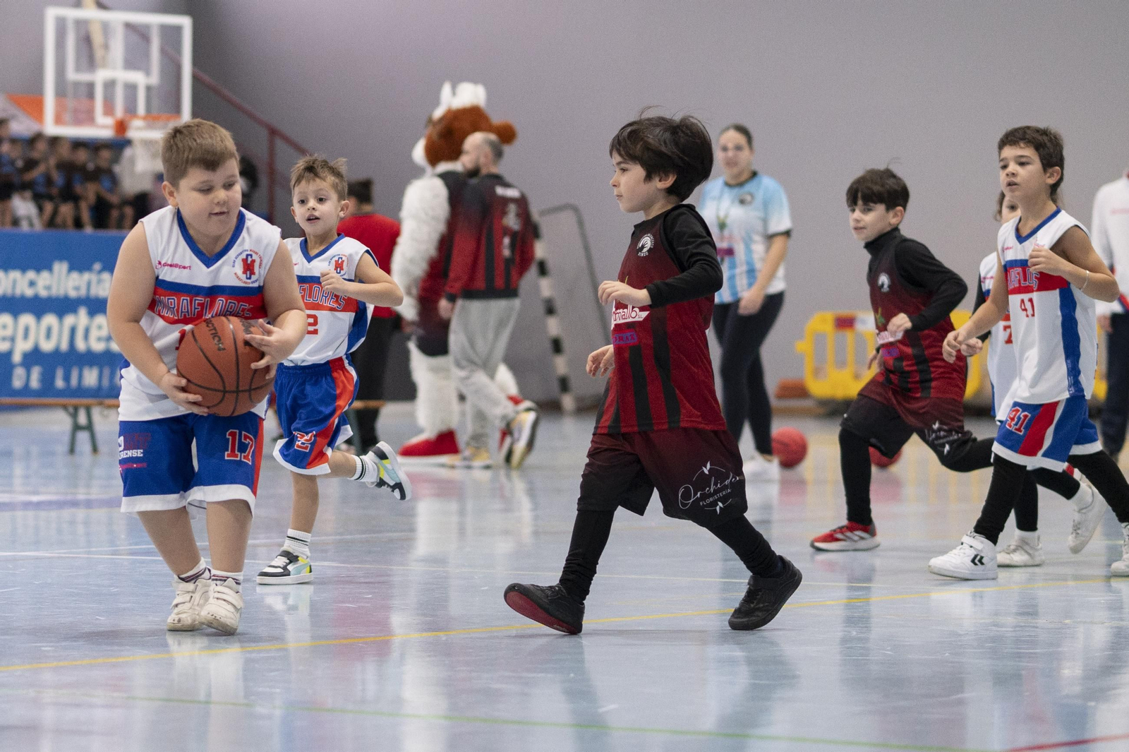 Galería | El babybasket vuelve a Ourense con su primera concentración  de la temporada