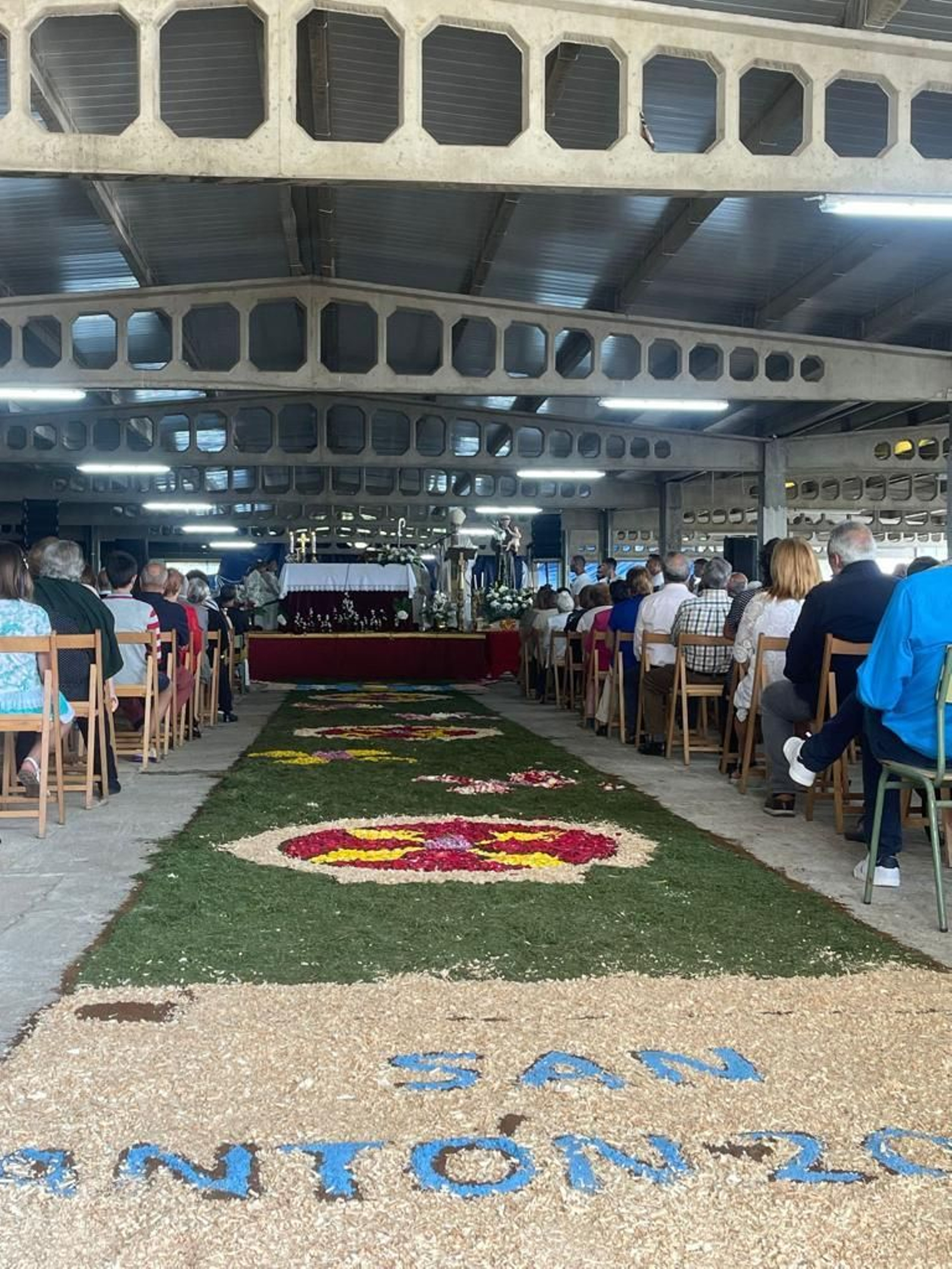 La belleza de las alfombras de las fiestas de San Antón captó la atención.