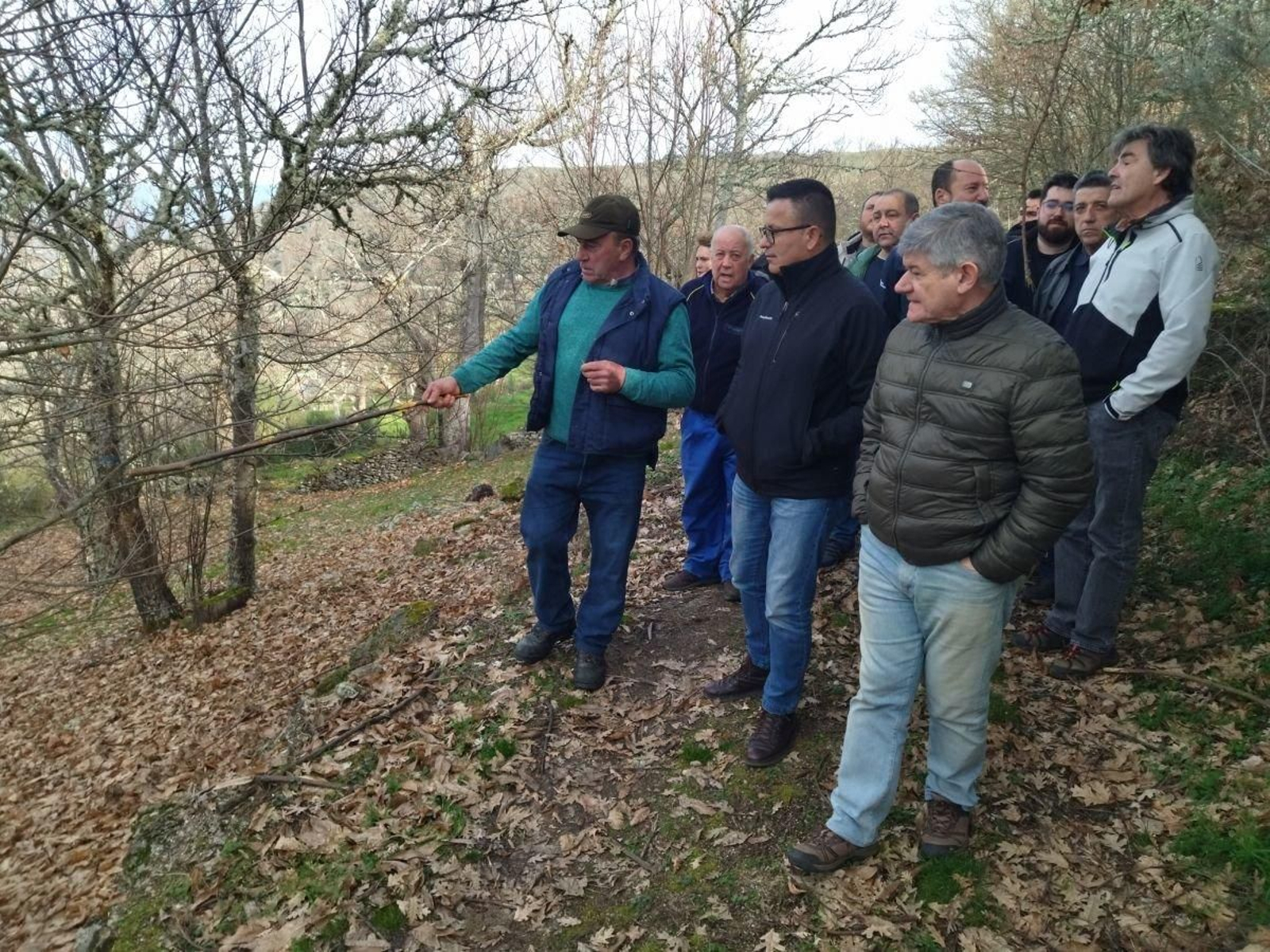 Un vecino muestra al conselleiro de Medio Rural los efectos de la avispilla del castaño en los árboles.