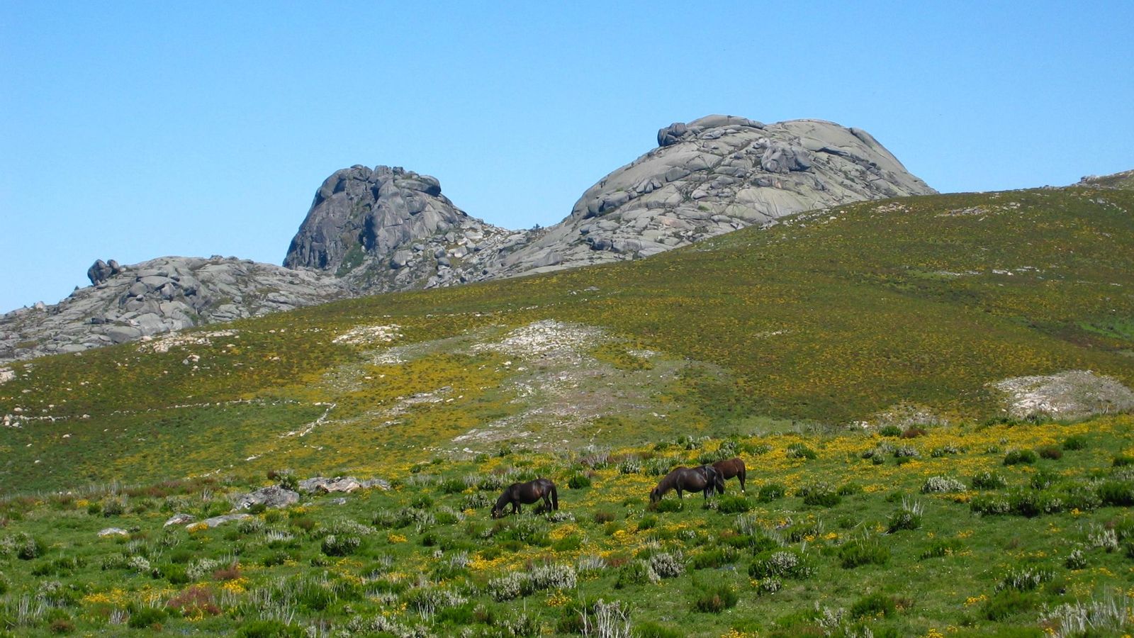  Pena de Anamán, na raia do Leboreiro.