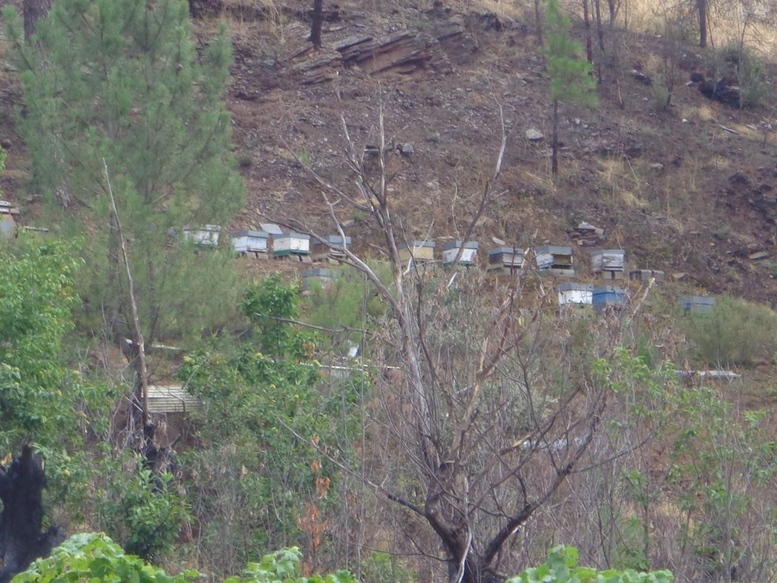 Colmenar, en O Barco.