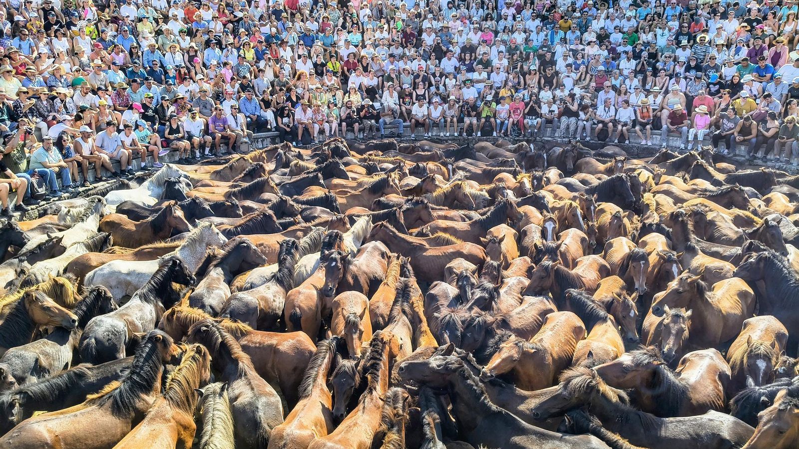 El público llenó el curro de Sabucedo a pesar del calor.