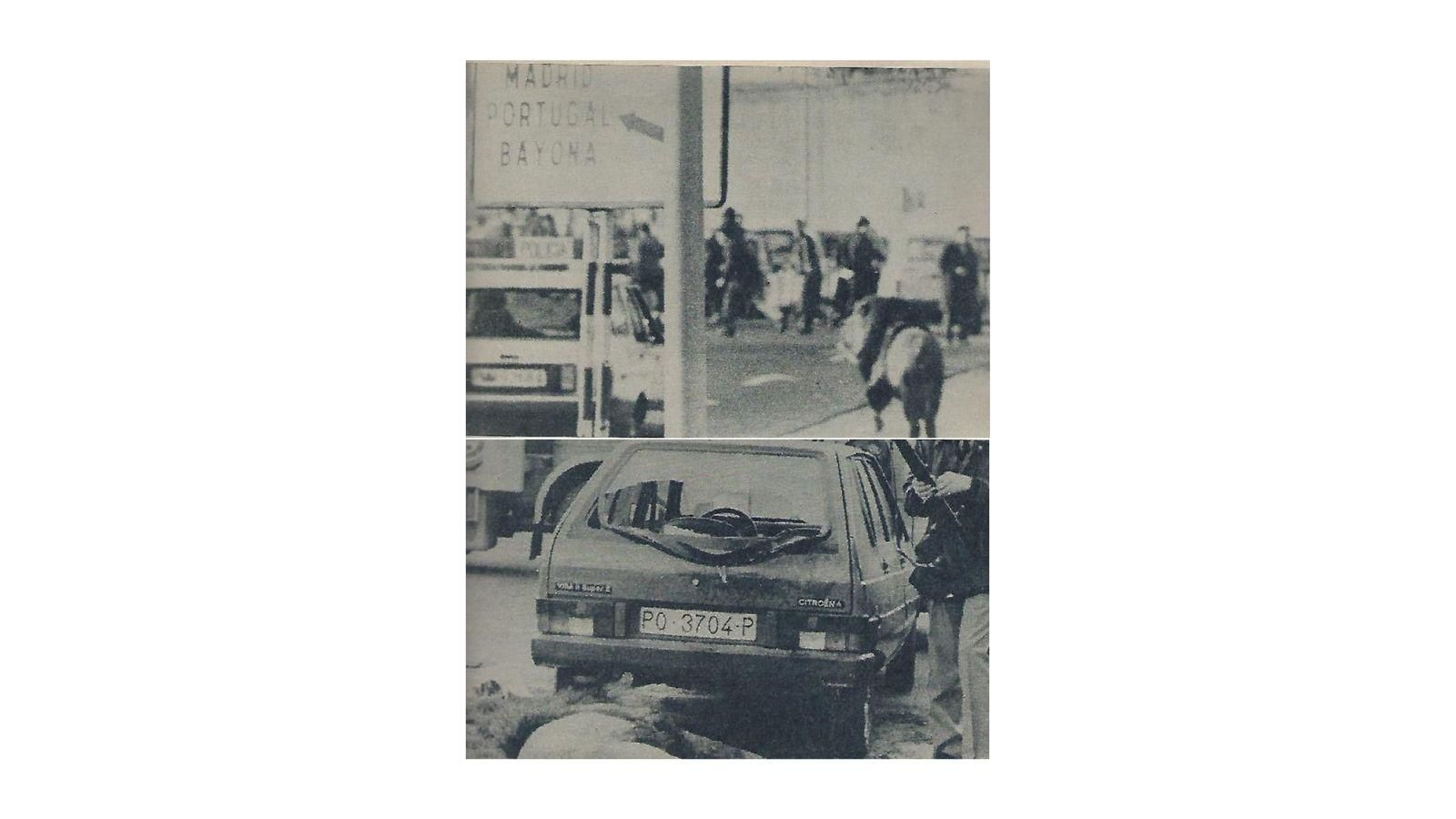 El león en la calle y luego abatido. Llanos.